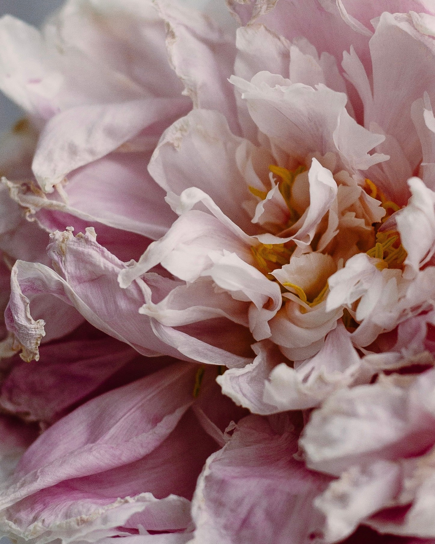 Contacts. Портретный фотограф Москва