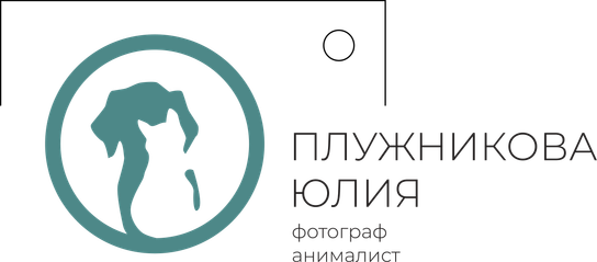 pluzhnikova-photo.ru