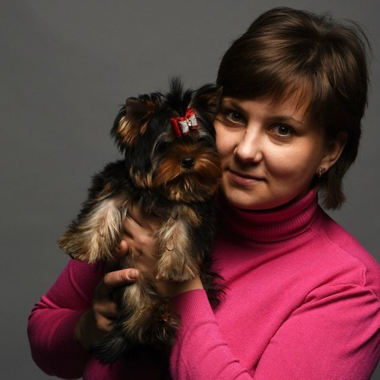 Контакты|Contact. Питомник Йоркширских терьеров Дэнстайл в Санкт-Петербурге заводчик Тих