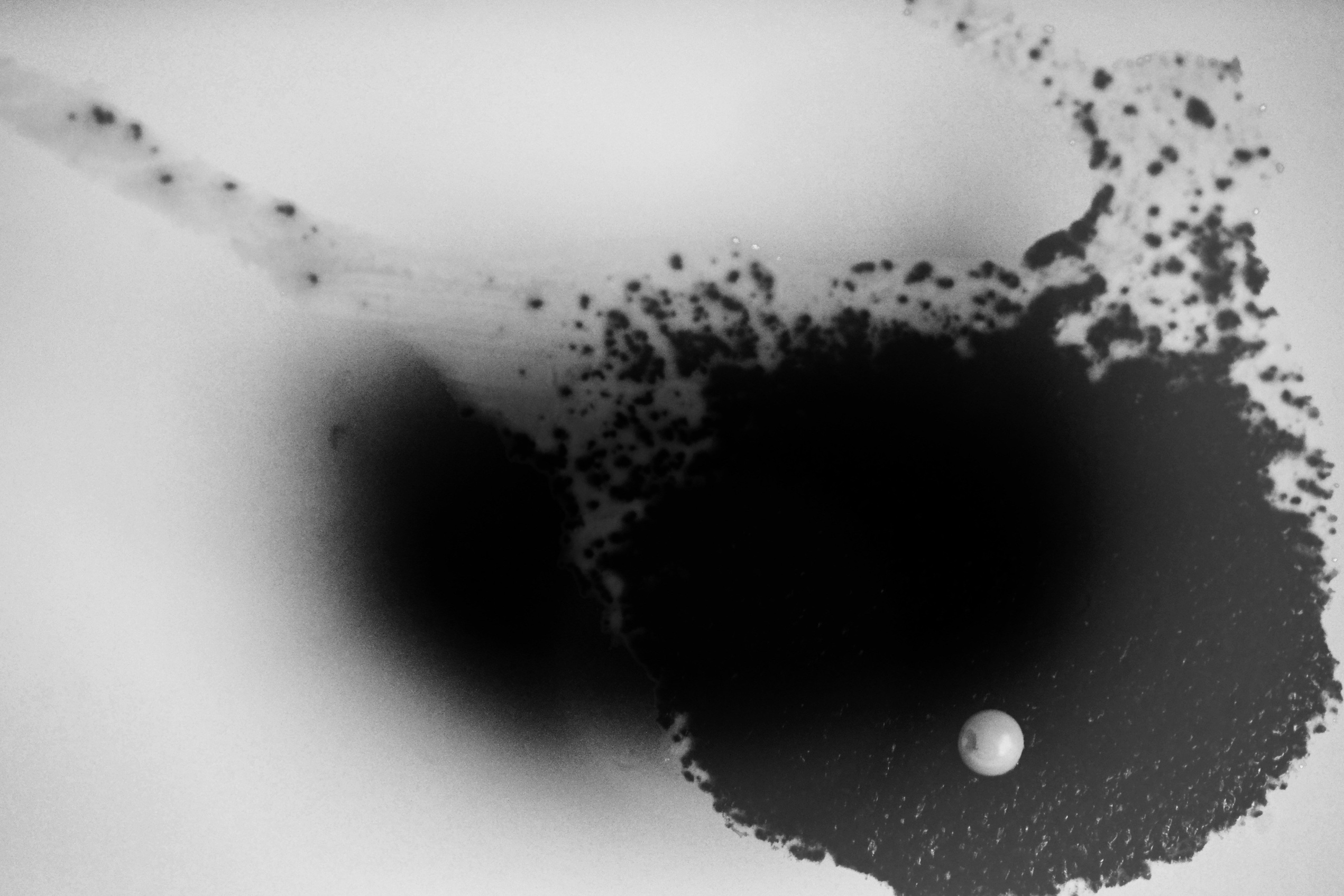 Интервью с Катериной Эдельвак. Private image