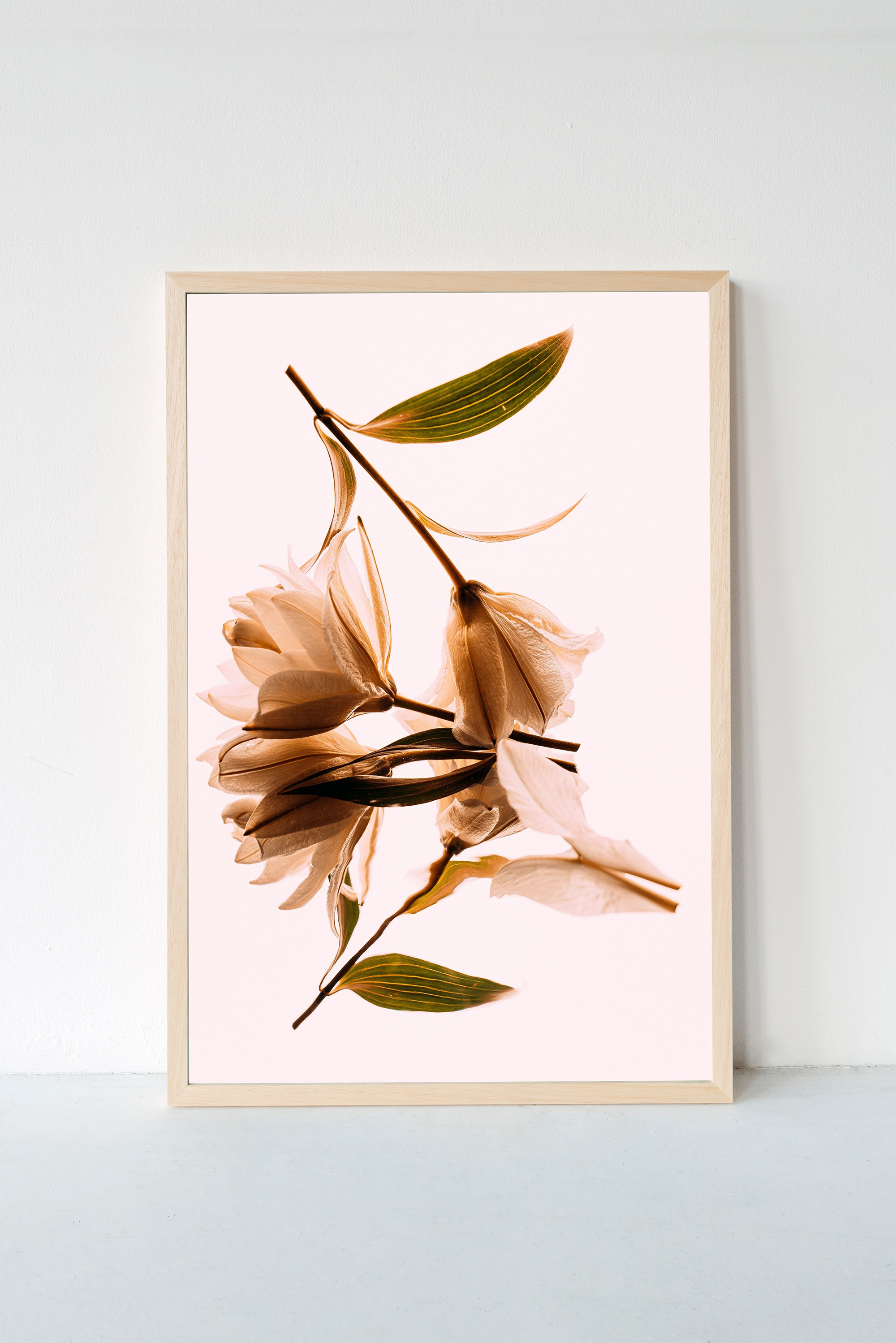 Фотографии с оформлением. ИНфото. Авторские фотографии для интерьеров