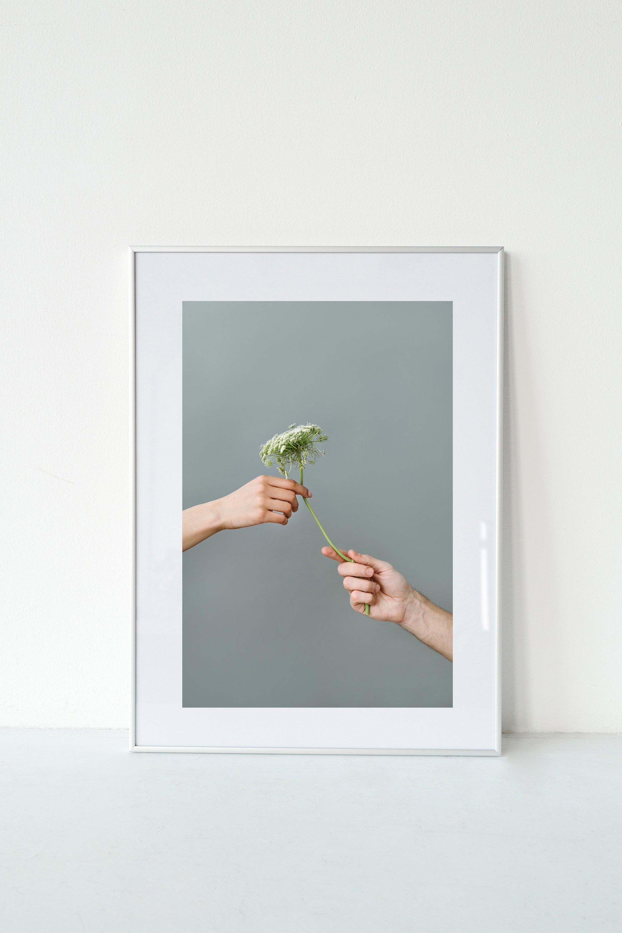 Фотографии с оформлением. ИНфото. Авторские фотографии для интерьеров