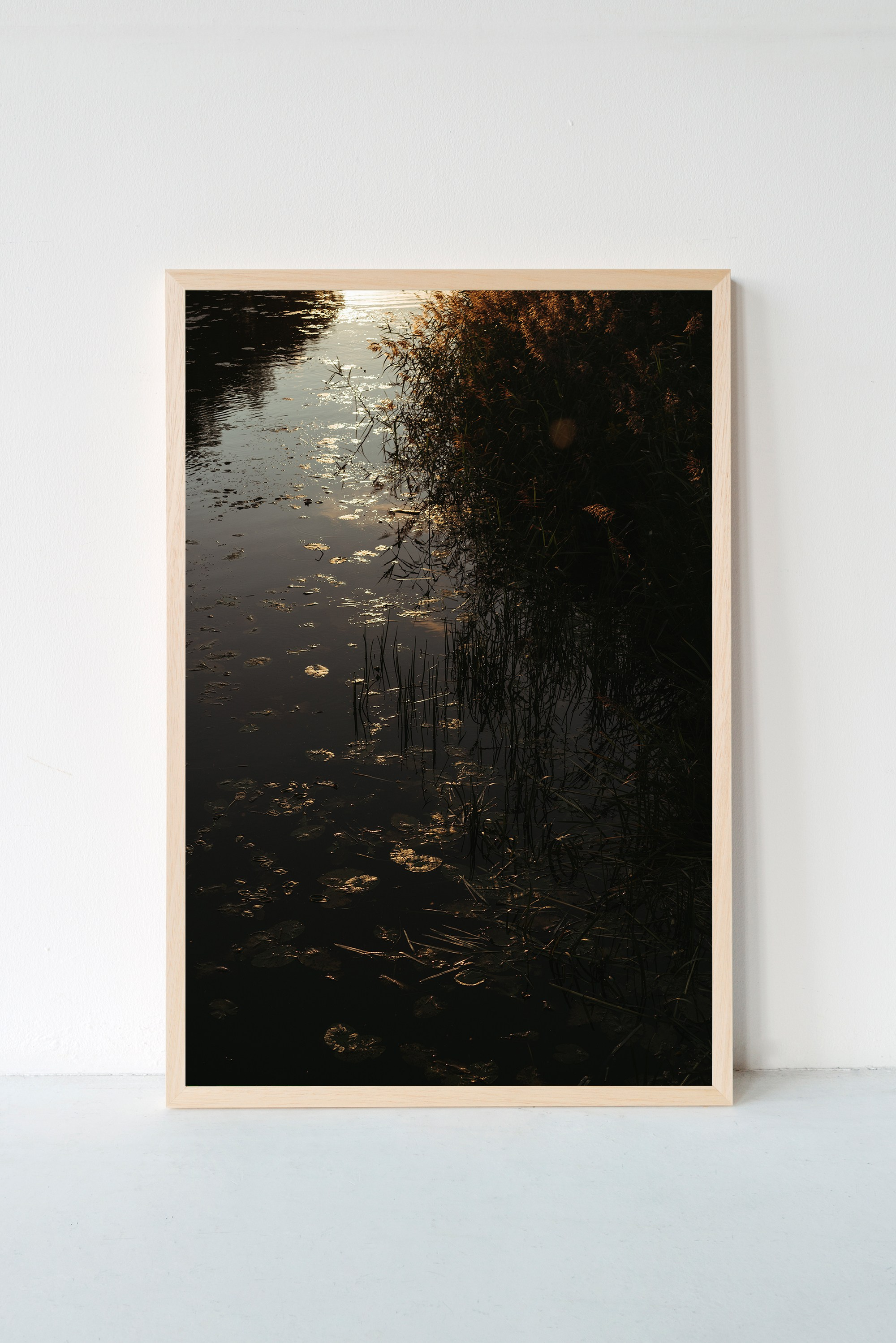 Фотографии с оформлением. ИНфото. Авторские фотографии для интерьеров