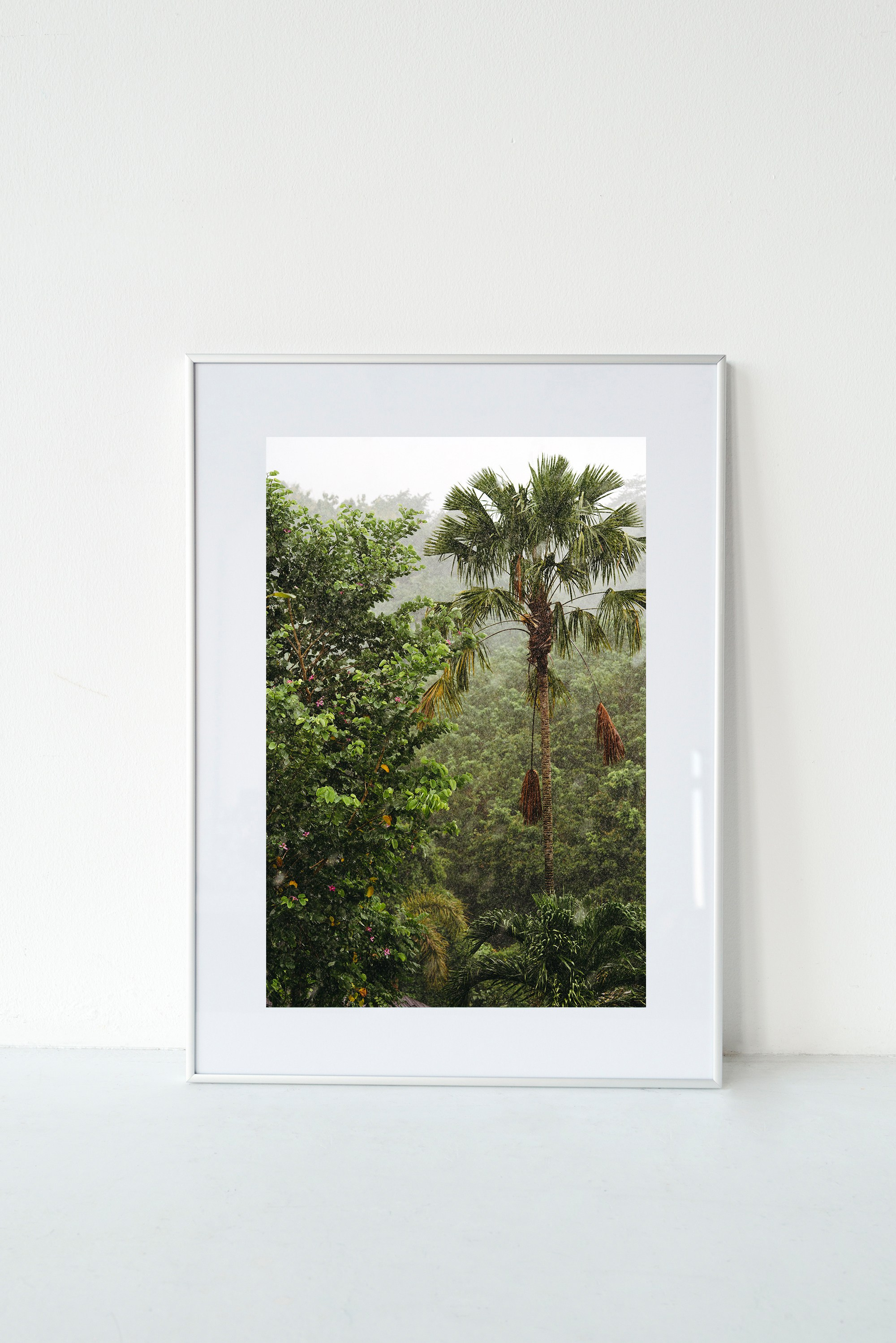 Фотографии с оформлением. ИНфото. Авторские фотографии для интерьеров