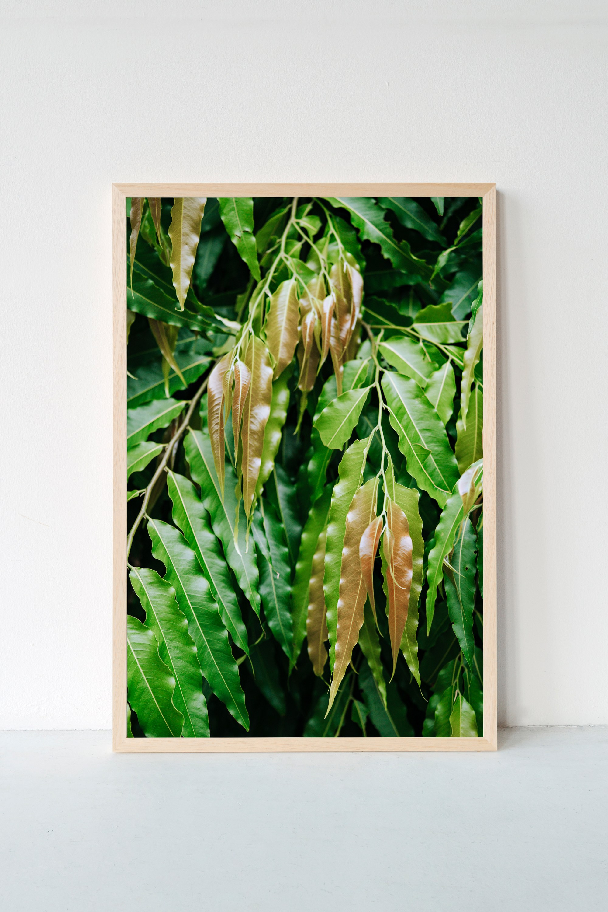 Фотографии с оформлением. ИНфото. Авторские фотографии для интерьеров