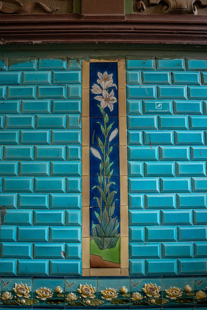 Парадная ар-нуво. Фотограф и искусствовед в Туле и Санкт-Петербурге Нелли Некрасова