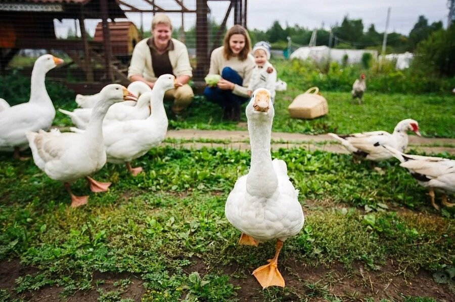 Экскурсии. Международный фестиваль юношеских СМИ и киностудий «ВОЛЖСКИЕ ВСТРЕЧИ» в Тверской области