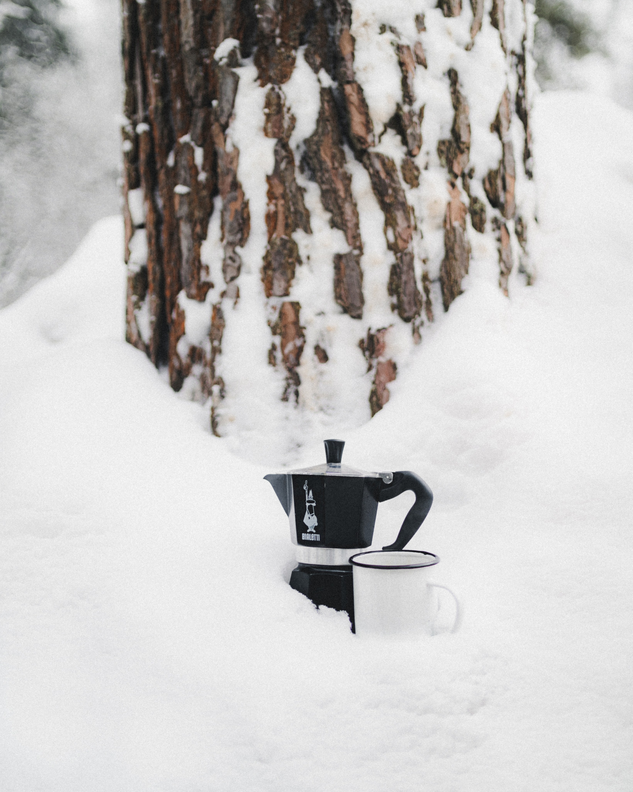 Fauno. Фотограф Илья К. в Москве