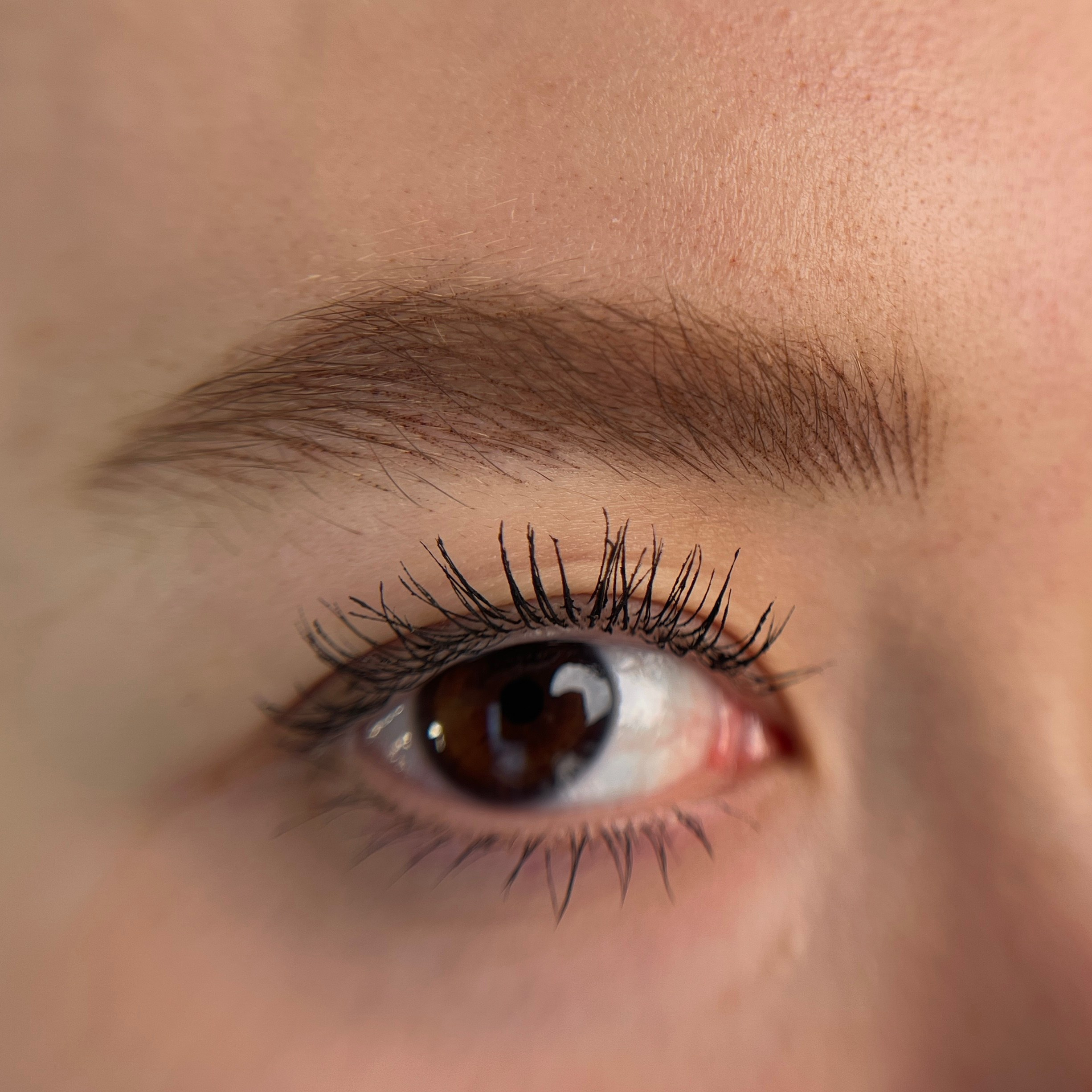 Натуральные брови 