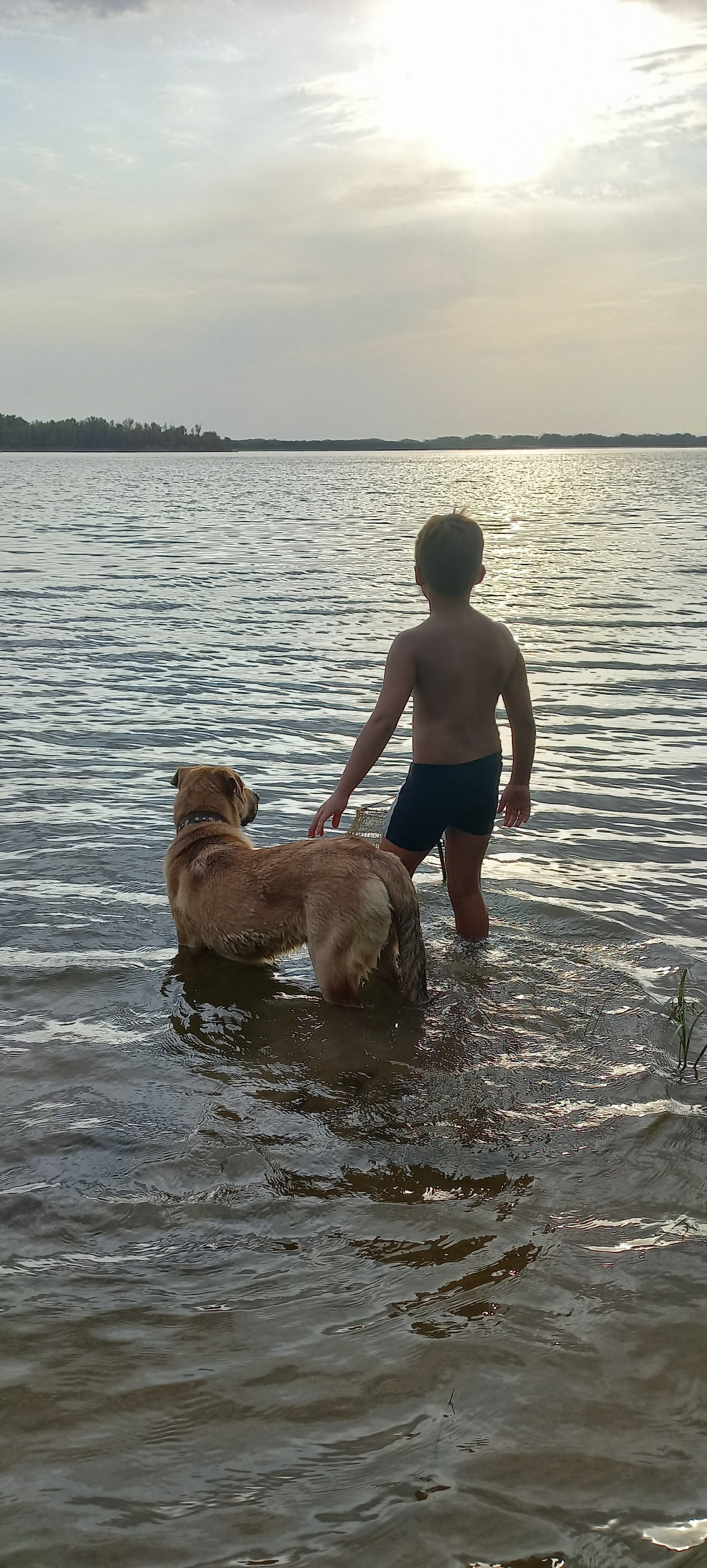 Голосование. Калужский городской фотоконкурс
