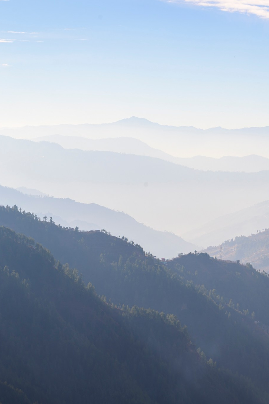 Путешествие в долину Спити: снежные барсы и духовное наследие Гималаев. Wildlife photography by Sergey Puponin