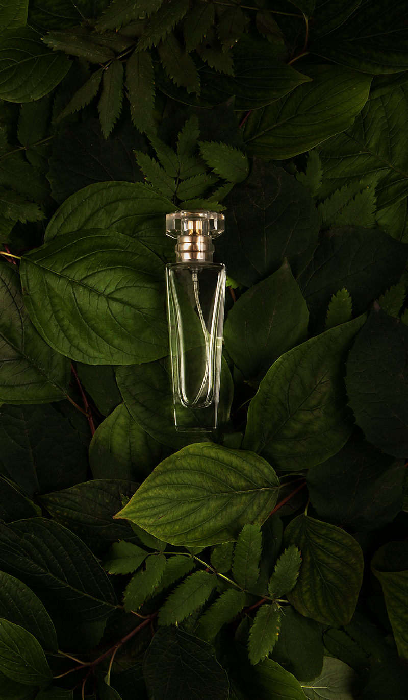 Фотография для бизнеса. Фотограф / Мастерская фотографии МетоD