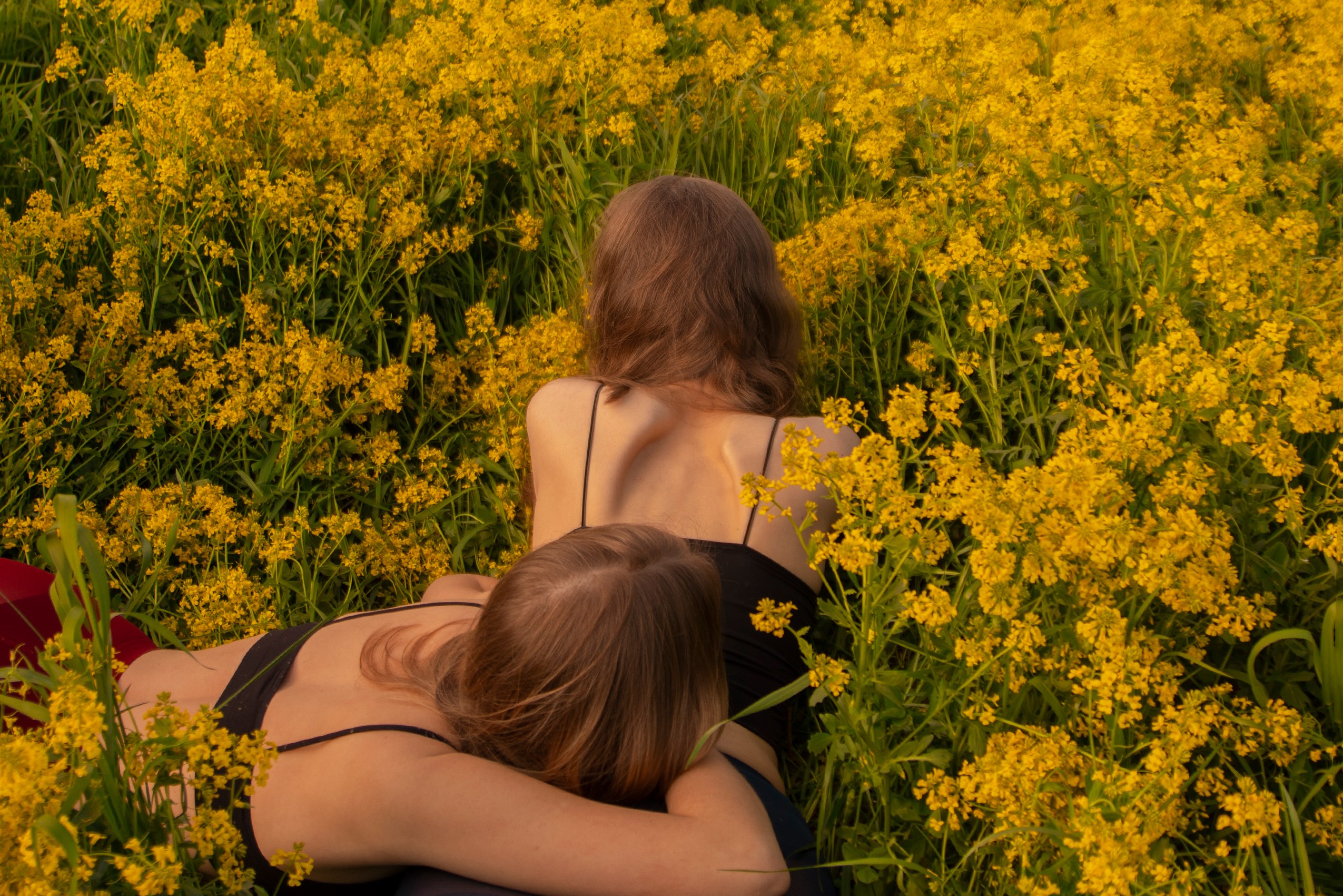 Видео-курс «Как сделать проект». Главная