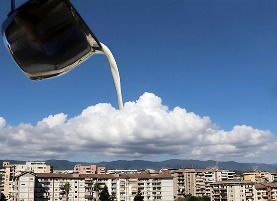 Захарчук София. ARTEXPOPHOTO