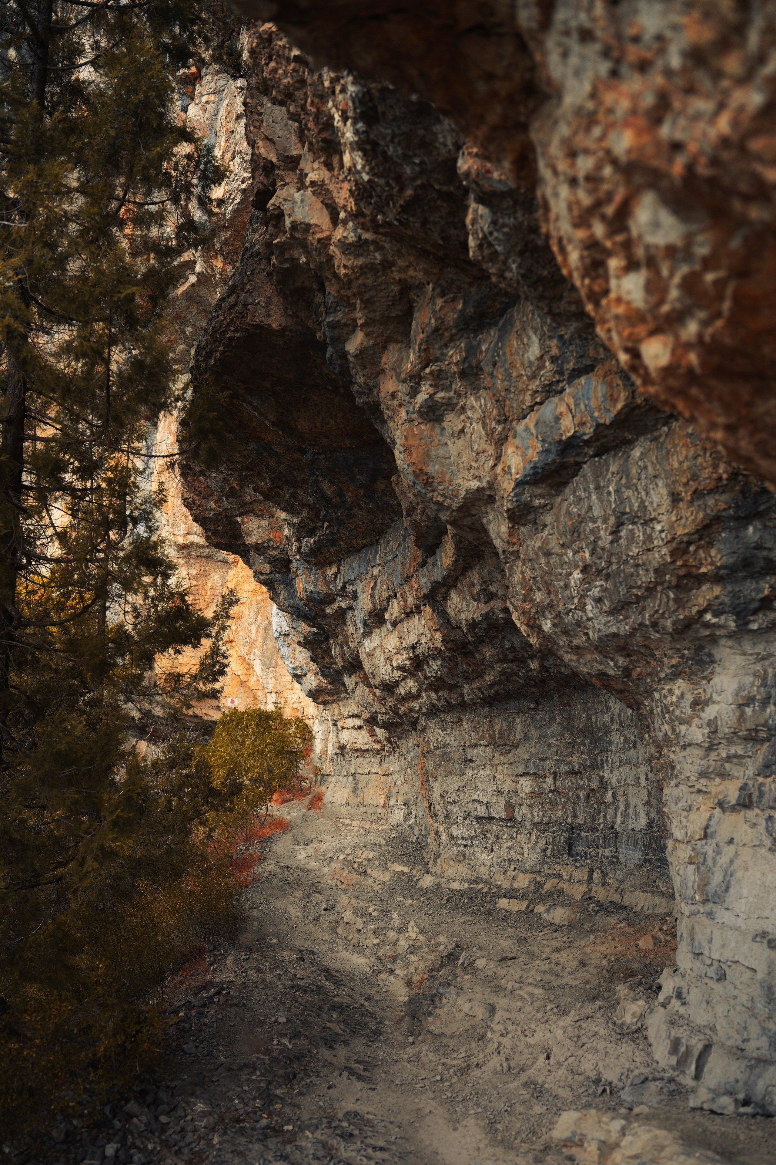 Боткинская тропа. Фотограф из Москвы — DASHA NOVA | Авторская фотография в разных жанрах