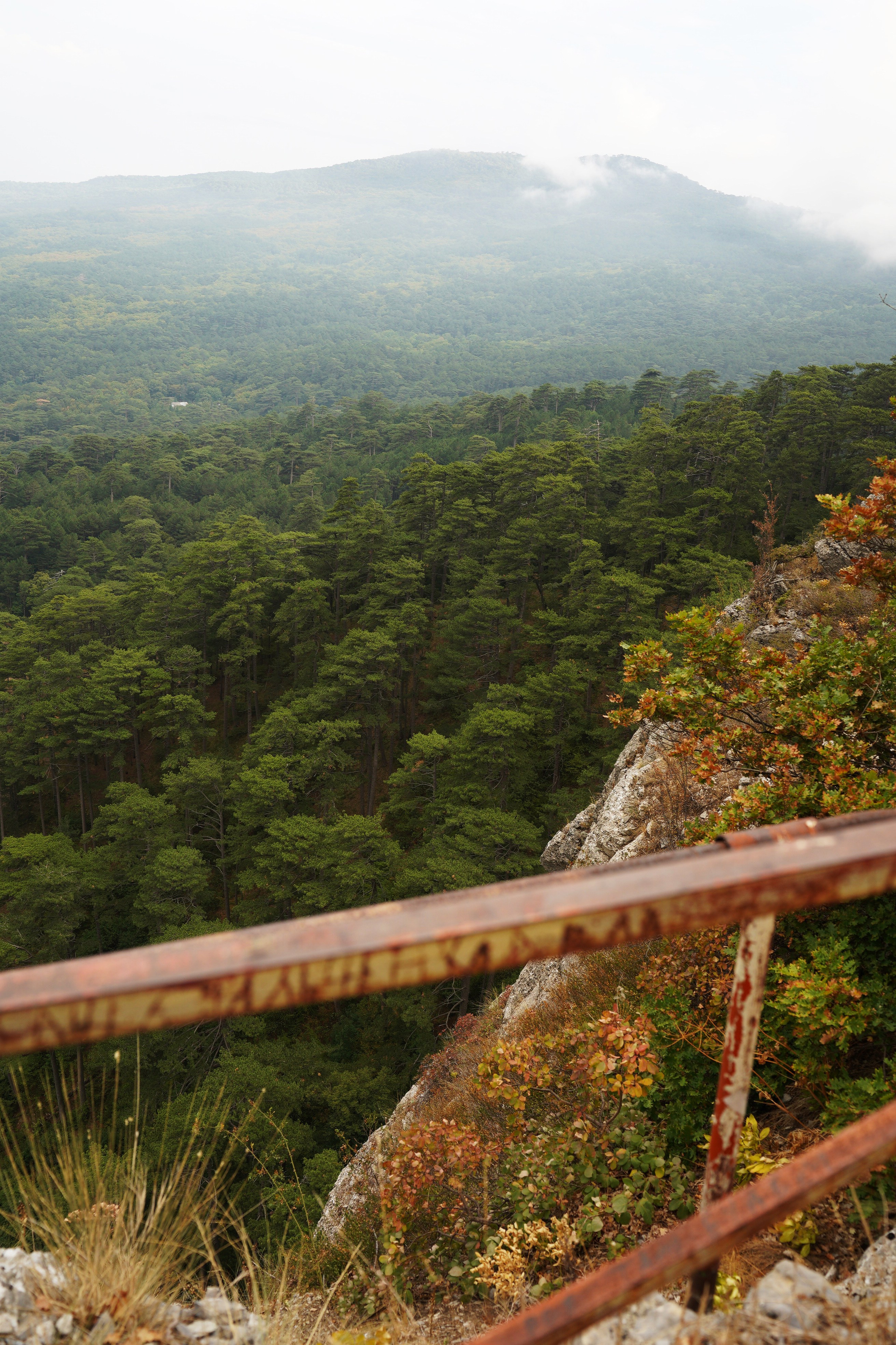 Боткинская тропа. Фотограф из Москвы — DASHA NOVA | Авторская фотография в разных жанрах