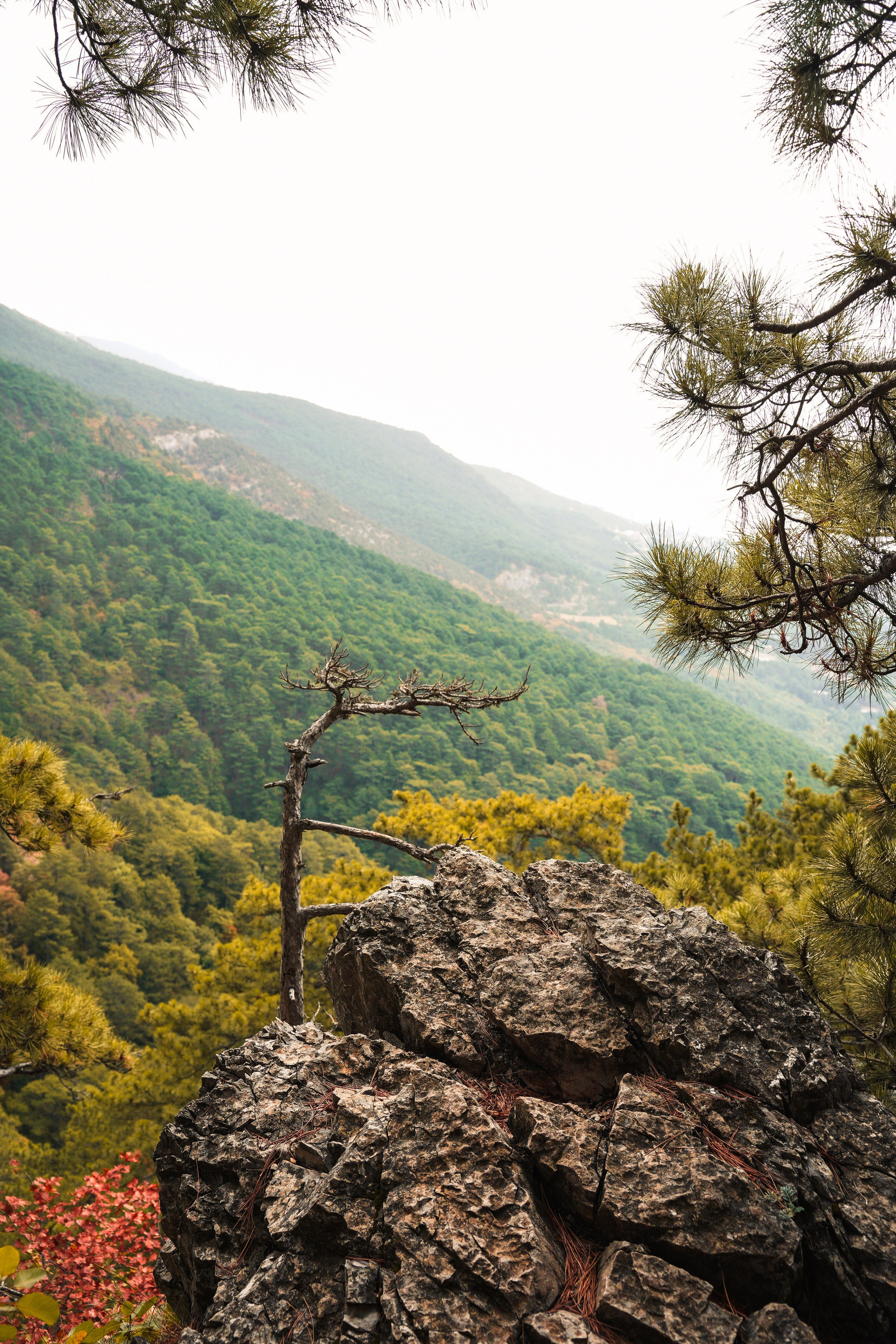 Боткинская тропа. Фотограф из Москвы — DASHA NOVA | Авторская фотография в разных жанрах