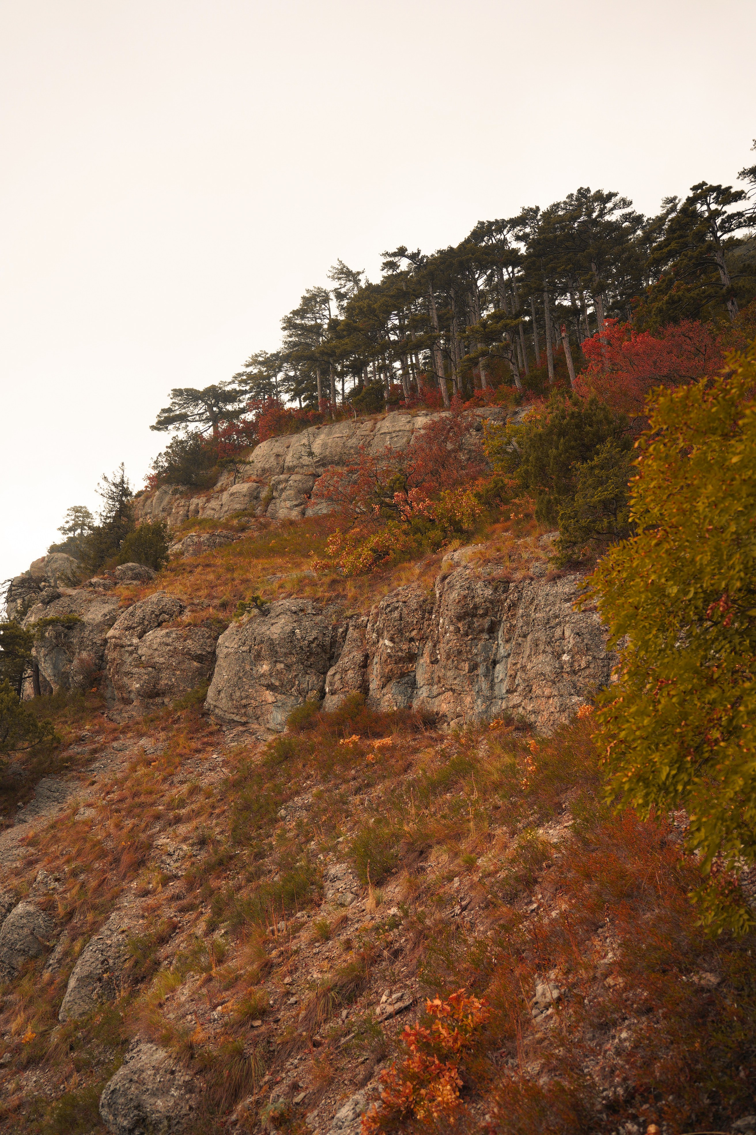 Боткинская тропа. Фотограф из Москвы — DASHA NOVA | Авторская фотография в разных жанрах