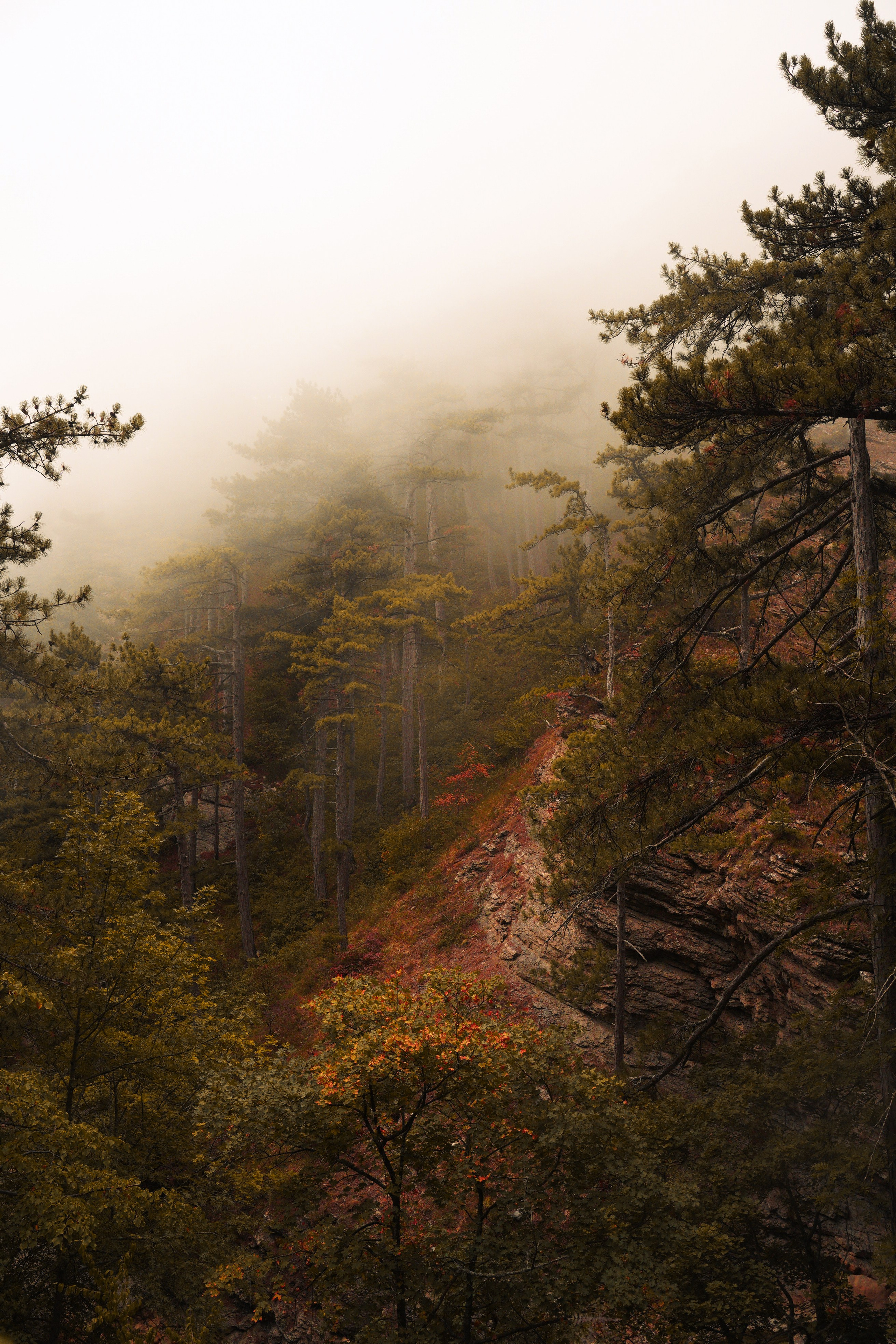 Боткинская тропа. Фотограф из Москвы — DASHA NOVA | Авторская фотография в разных жанрах