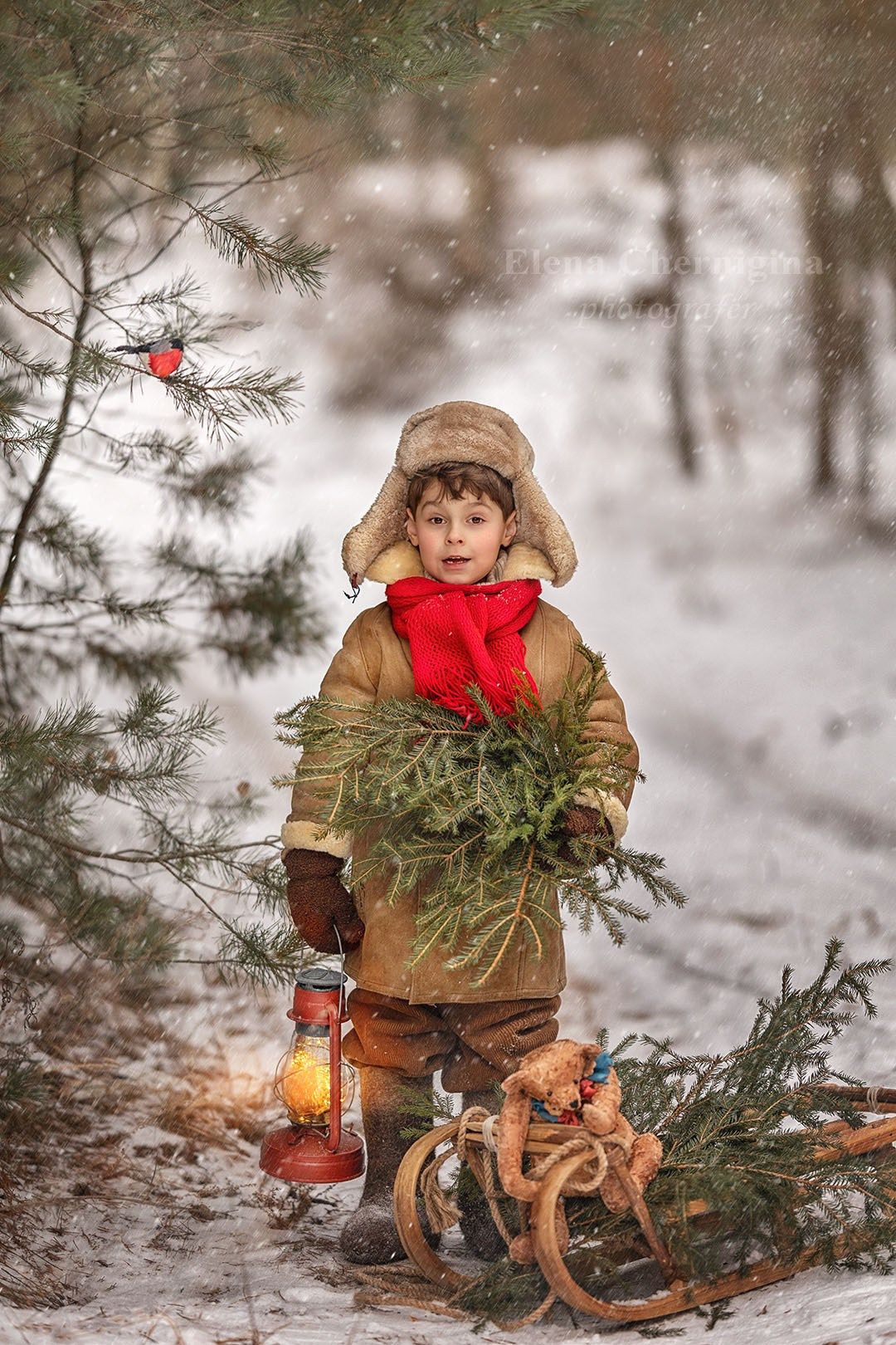 Выбрать фотосессию. Елена Чернигина семейный и детский фотограф в Нижнем Новгороде и Бор