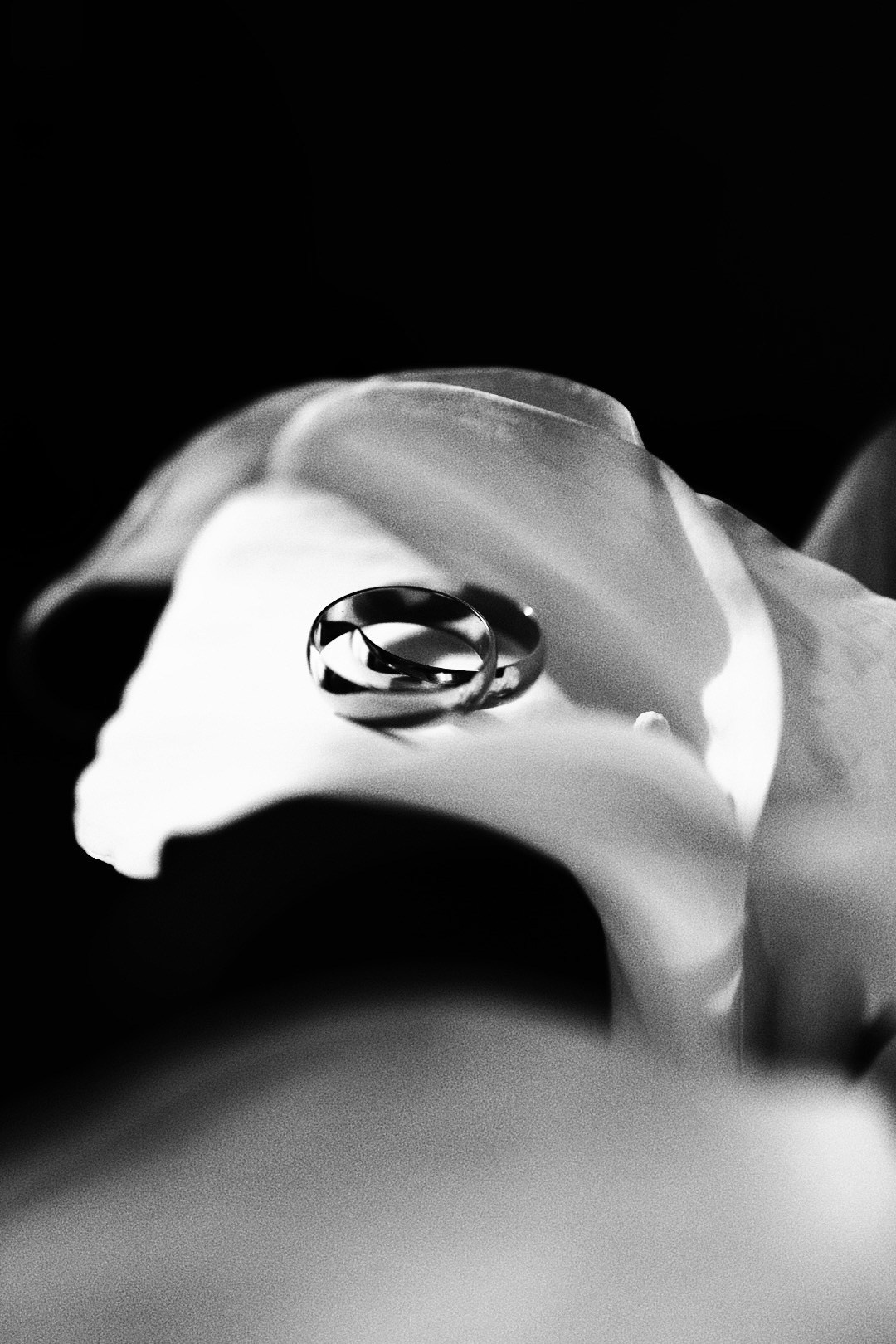 Фотограф Абронина Любовь | Москва