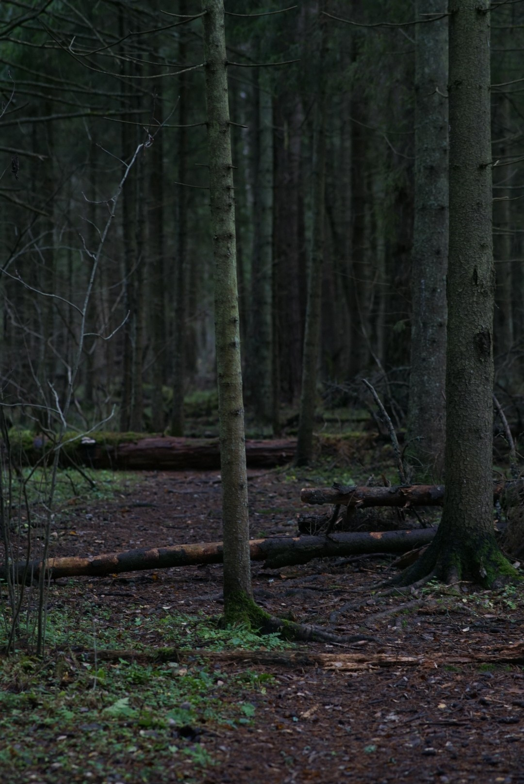 Вдохновение. Фотограф Софья Горбунова