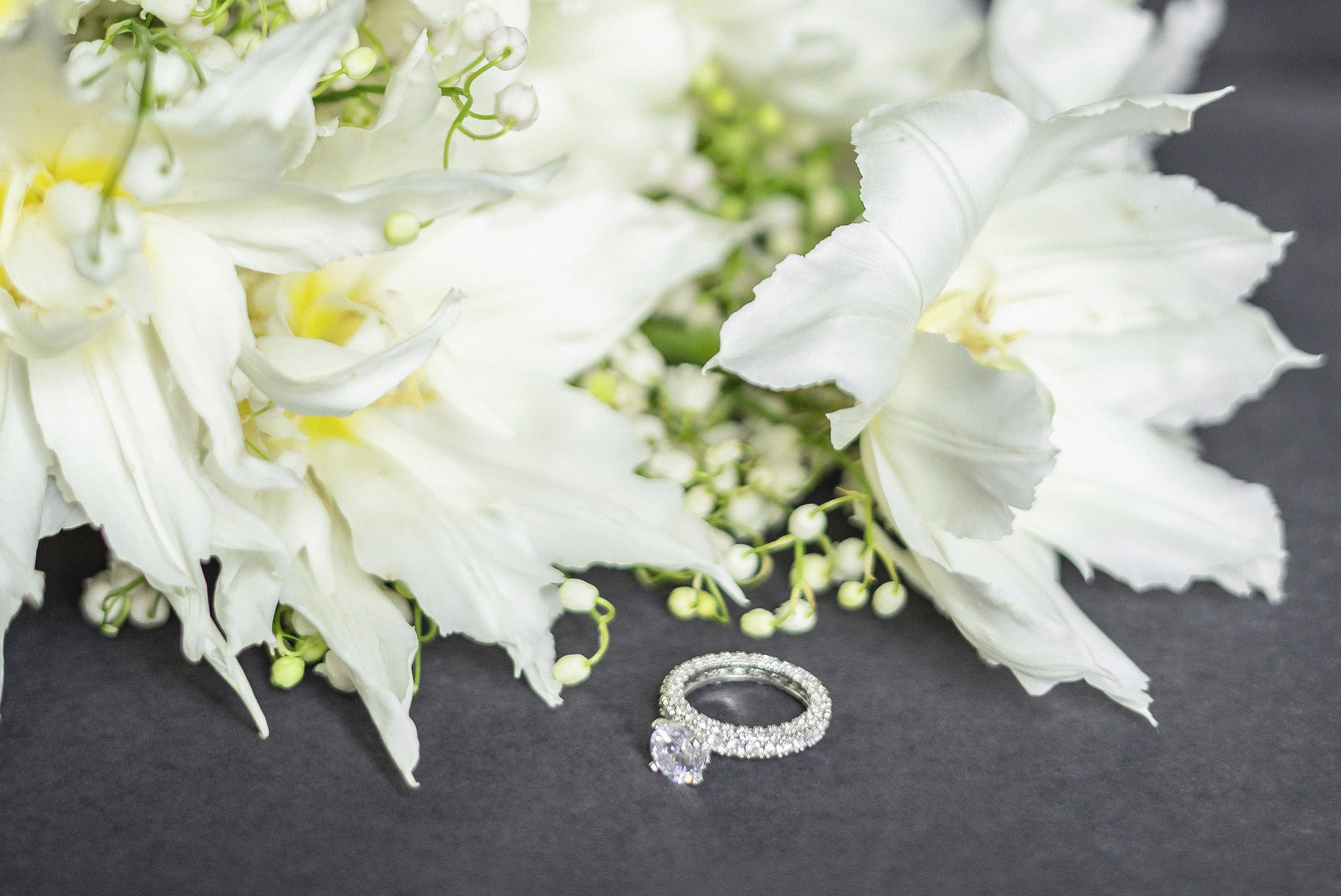 Услуги. Профессиональный фотограф