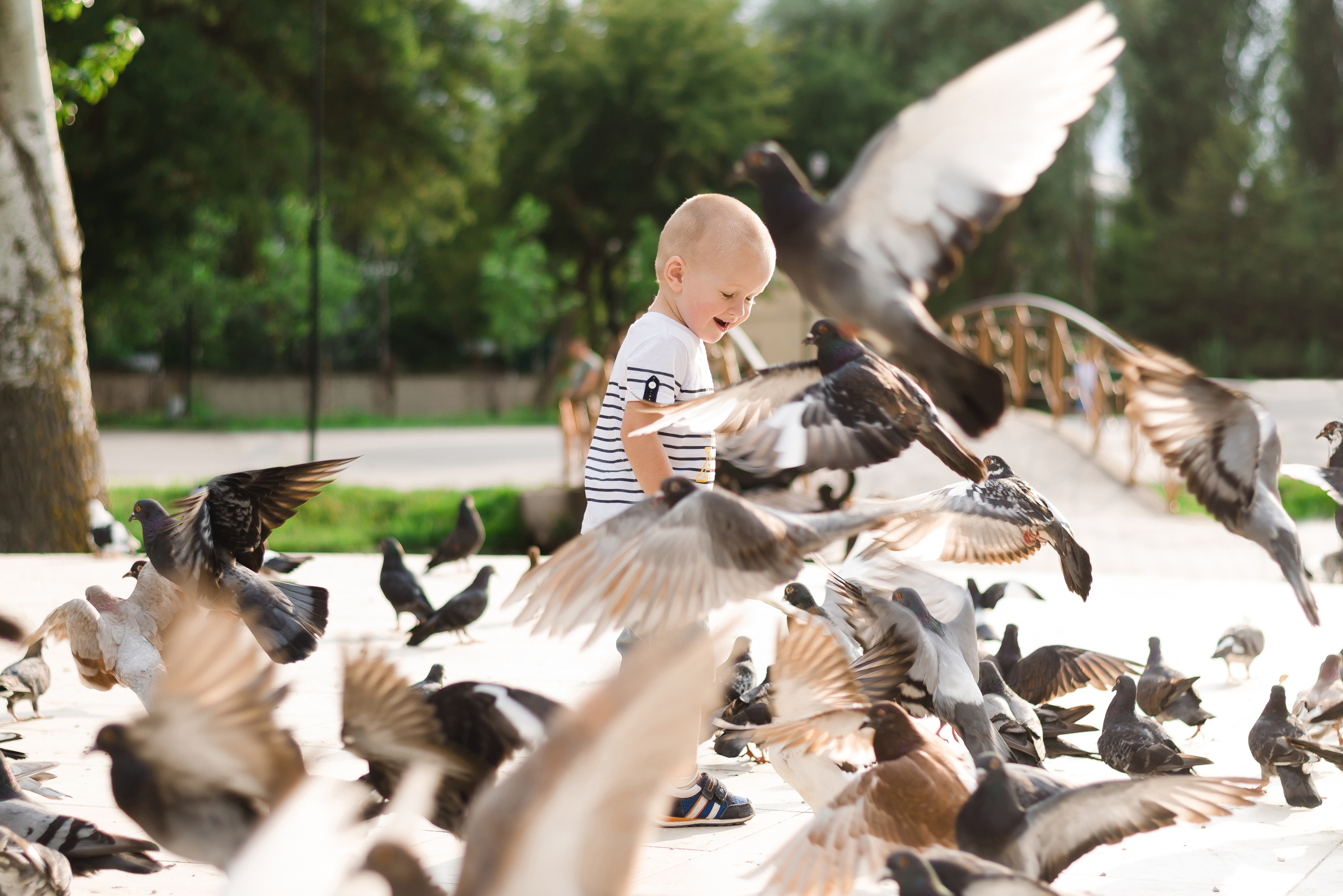Пакеты услуг. Фотограф Ирина Курта