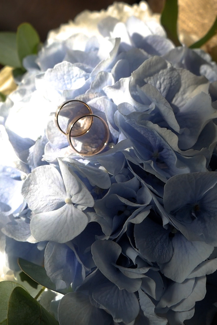 Price. Видеосъемка, аэросъемка Гомель Дмитрий и Наталья Нечаевы