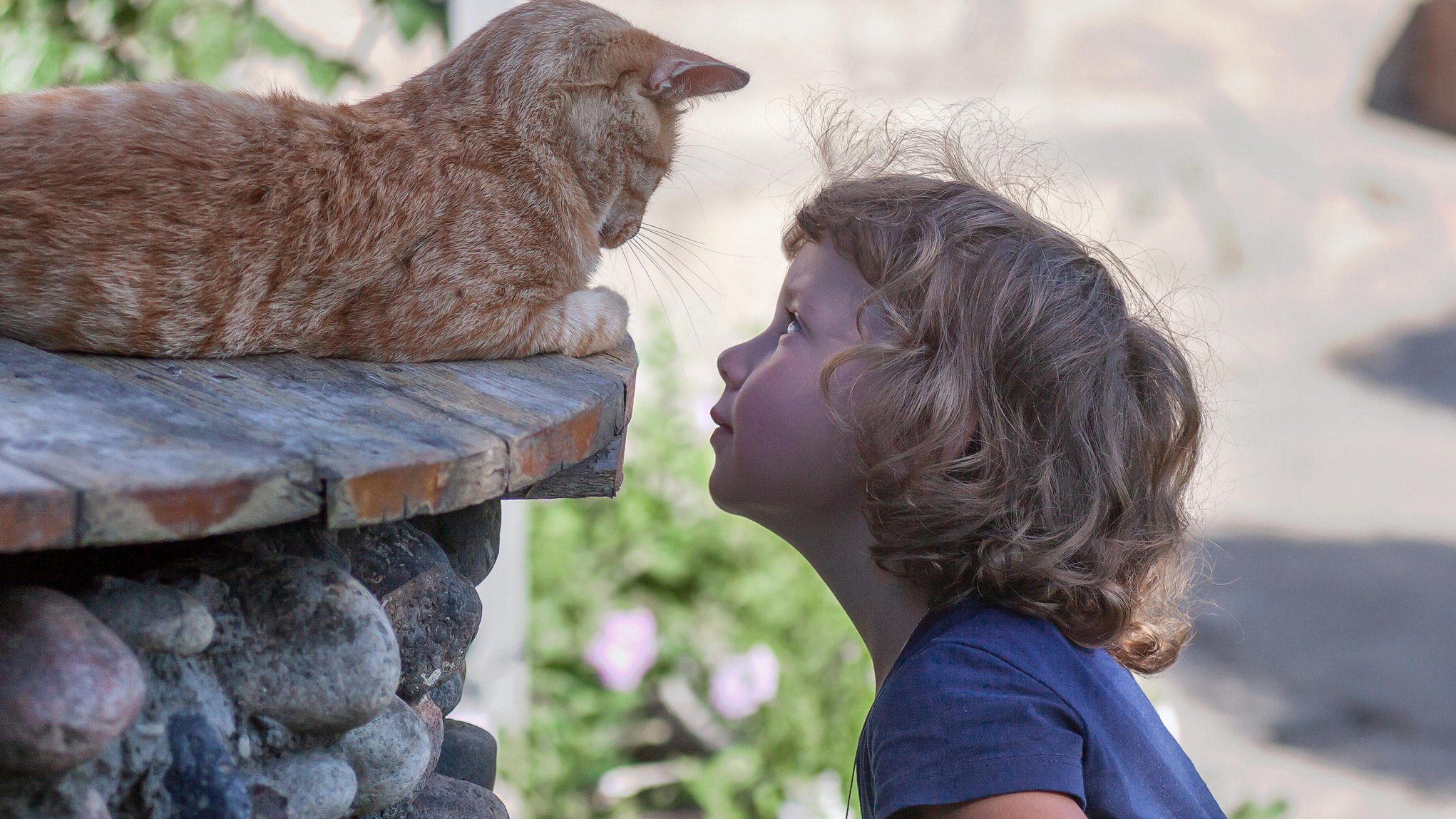 Photo portraits of children