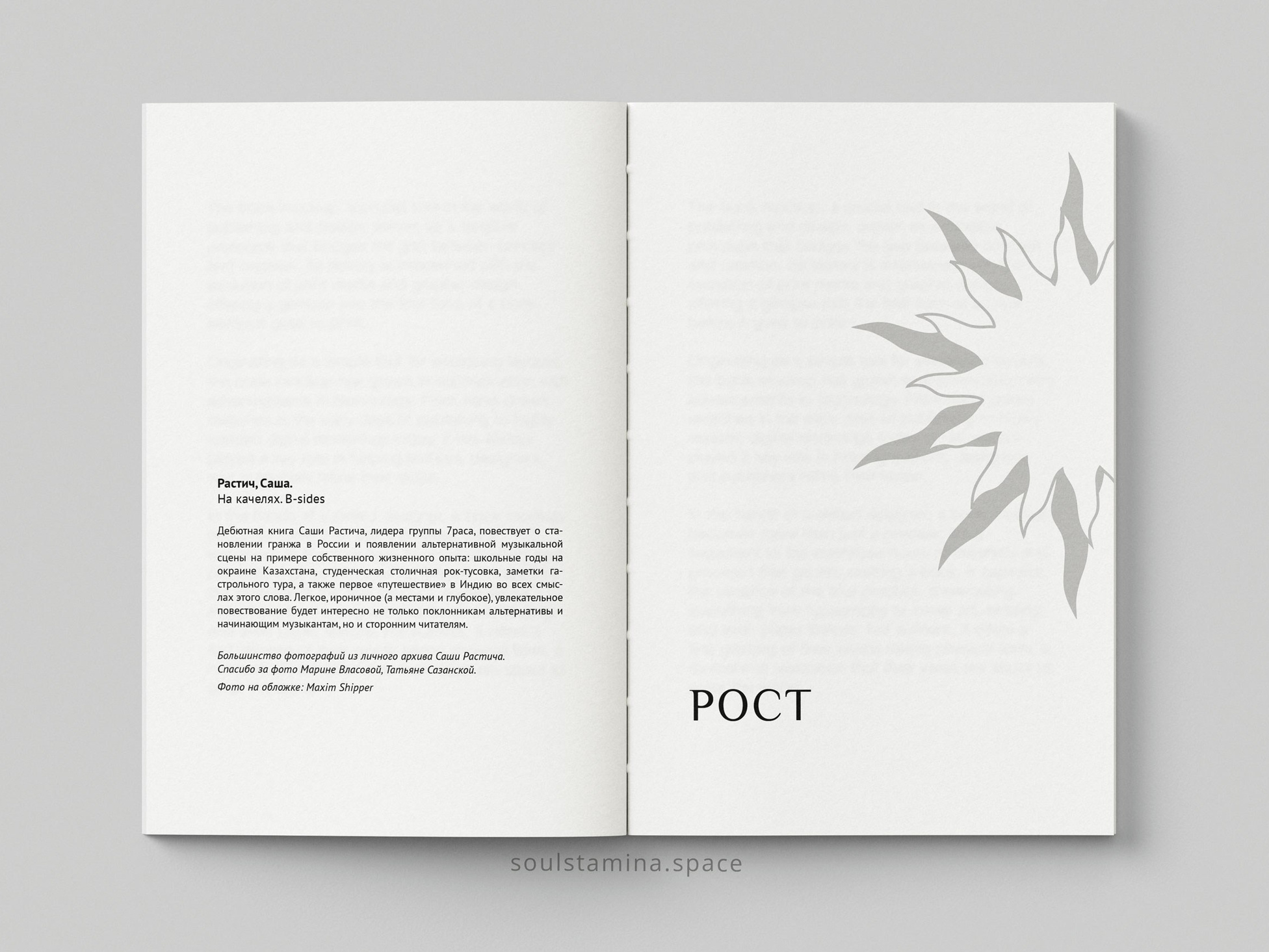 НА КАЧЕЛЯХ. B-SIDES. Soulstamina ~ graphic designer & visual artist from St.Petersburg