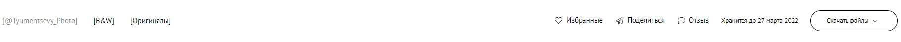Инструкция по скачиванию файлов и созданию выборки фотографий на сайте. Свадебный фотограф в Благовещенске Тюменцевы Иван и Татьяна