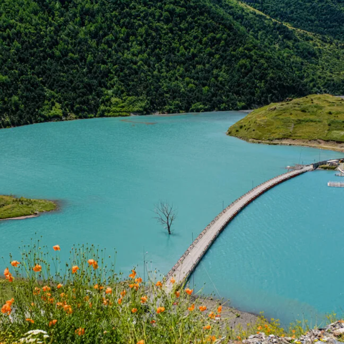 Северная Осетия. Семейный и детский фотограф в Москве