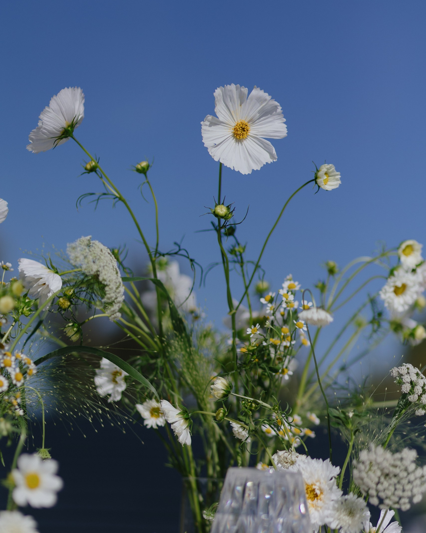 УСЛУГИ И ЦЕНЫ. Свадебный фотограф Воронеж Россошь Александра Веселова