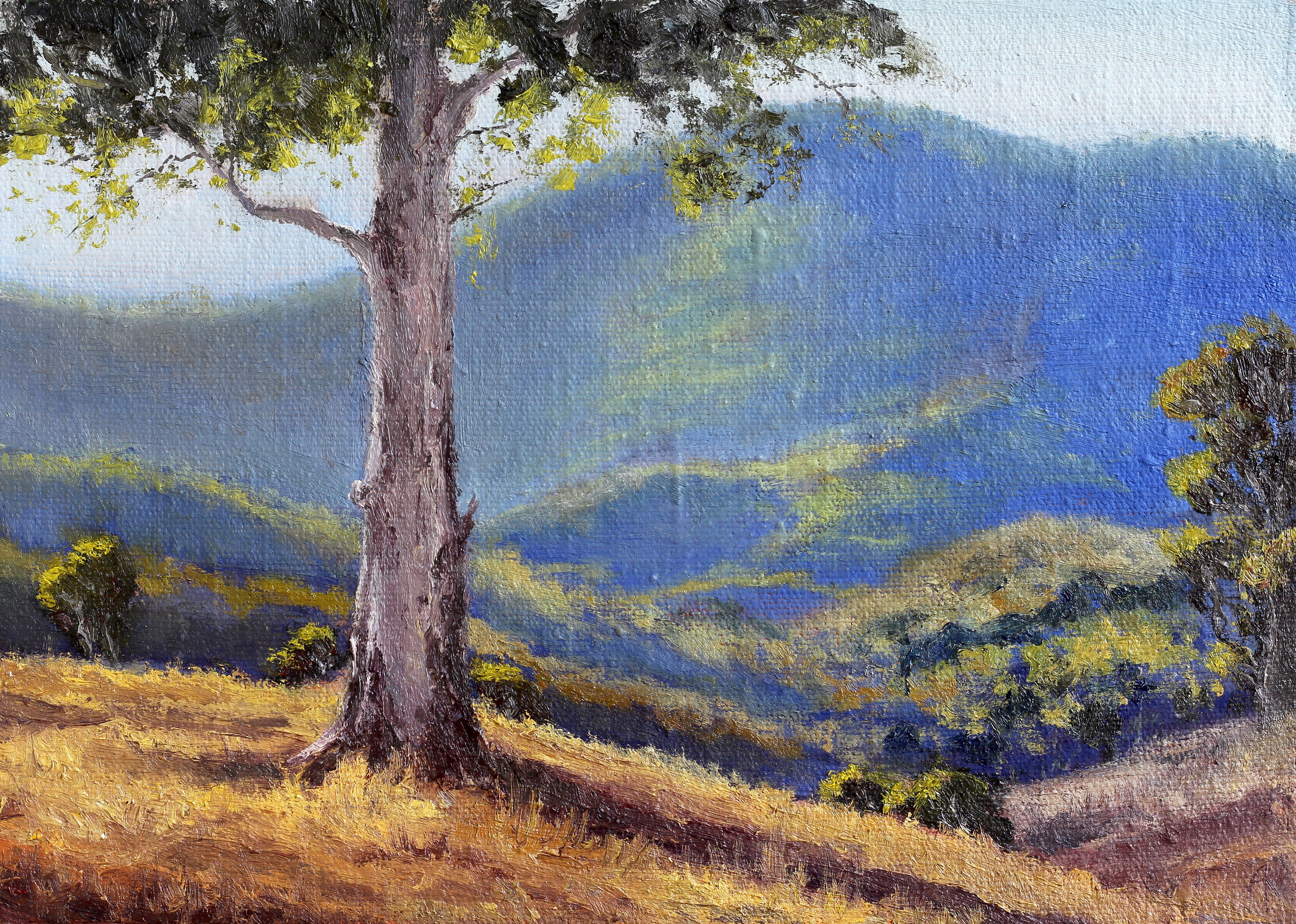 Картины на заказ. Кирилл Агеев художник Санкт-Петербург