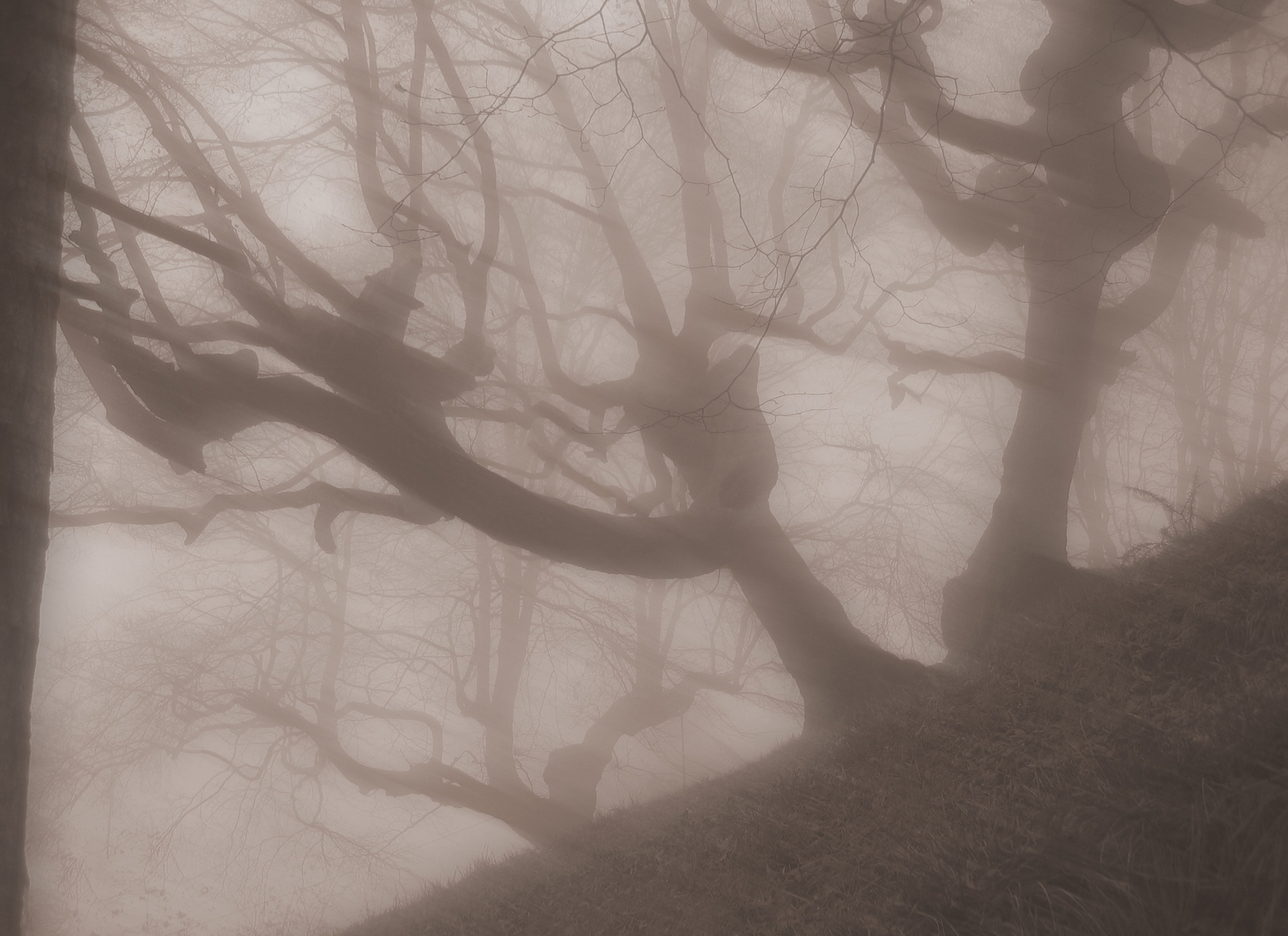 Галереи, выставки, арт-проекты. Visual artist, photographer Liana Darenskaya, Moscow