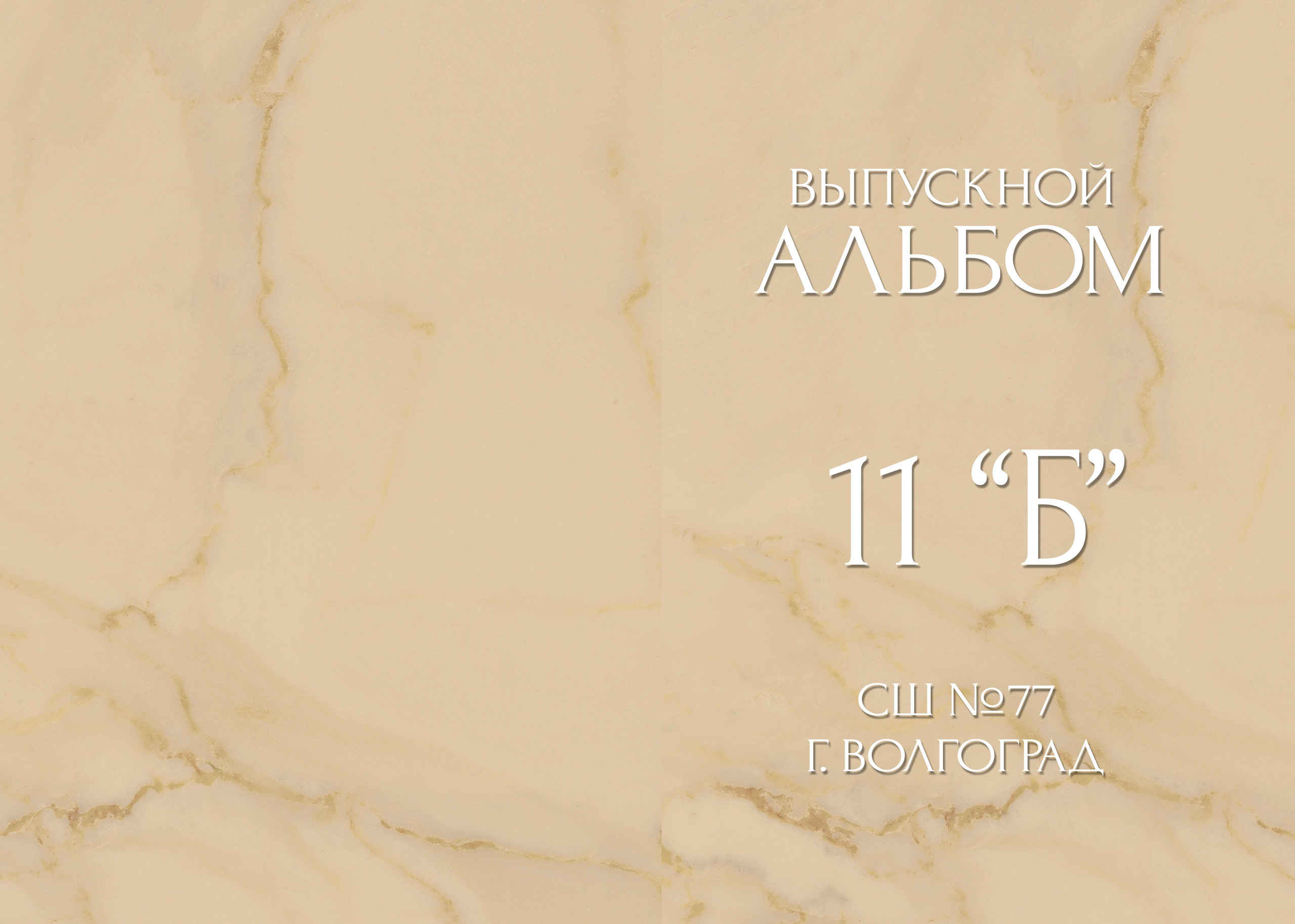 Альбомы 9-11 класс. Семейные фотокниги и выпускные альбомы в Волгограде Екатерина Аверьянова