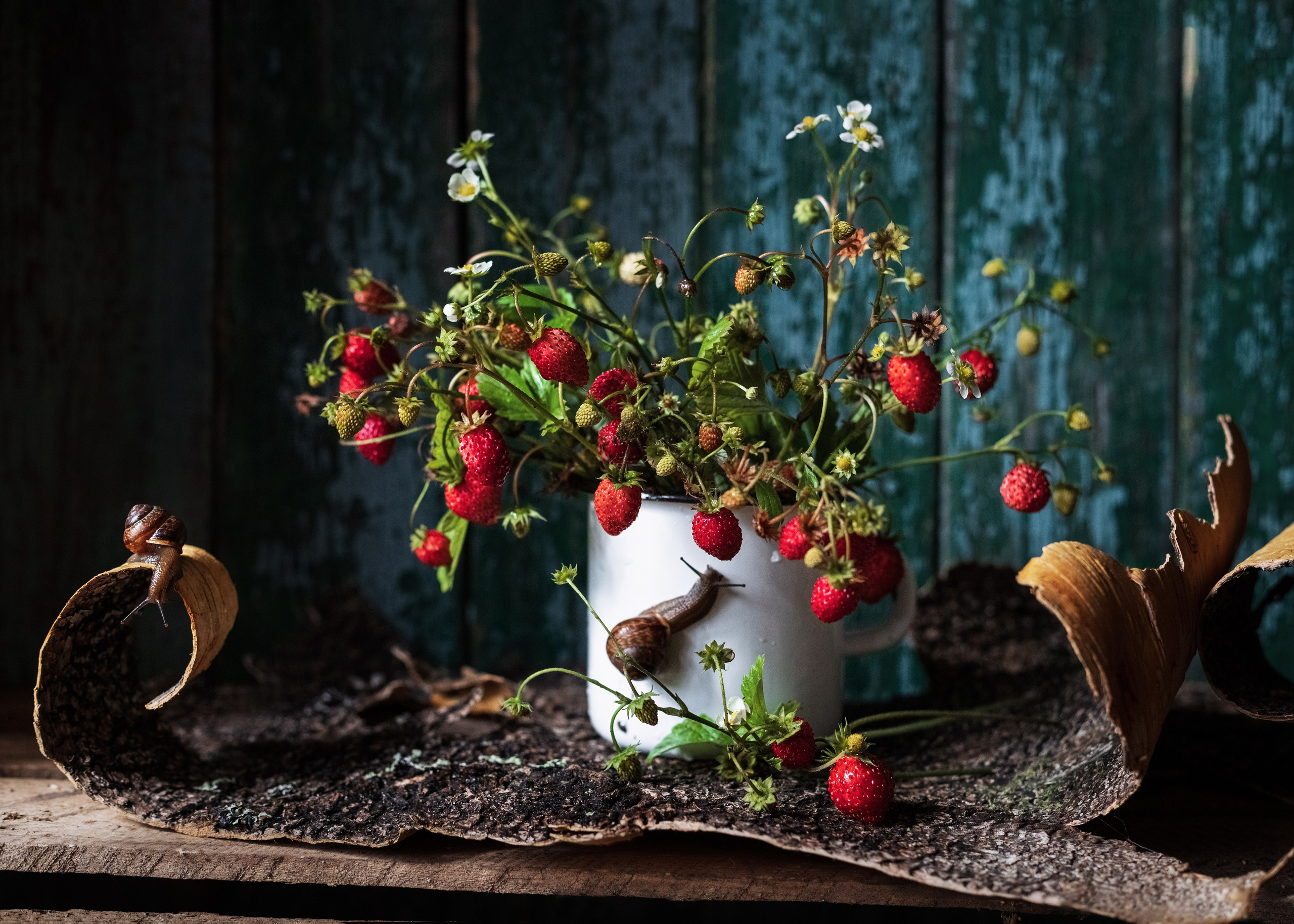 НАТЮРМОРТЫ