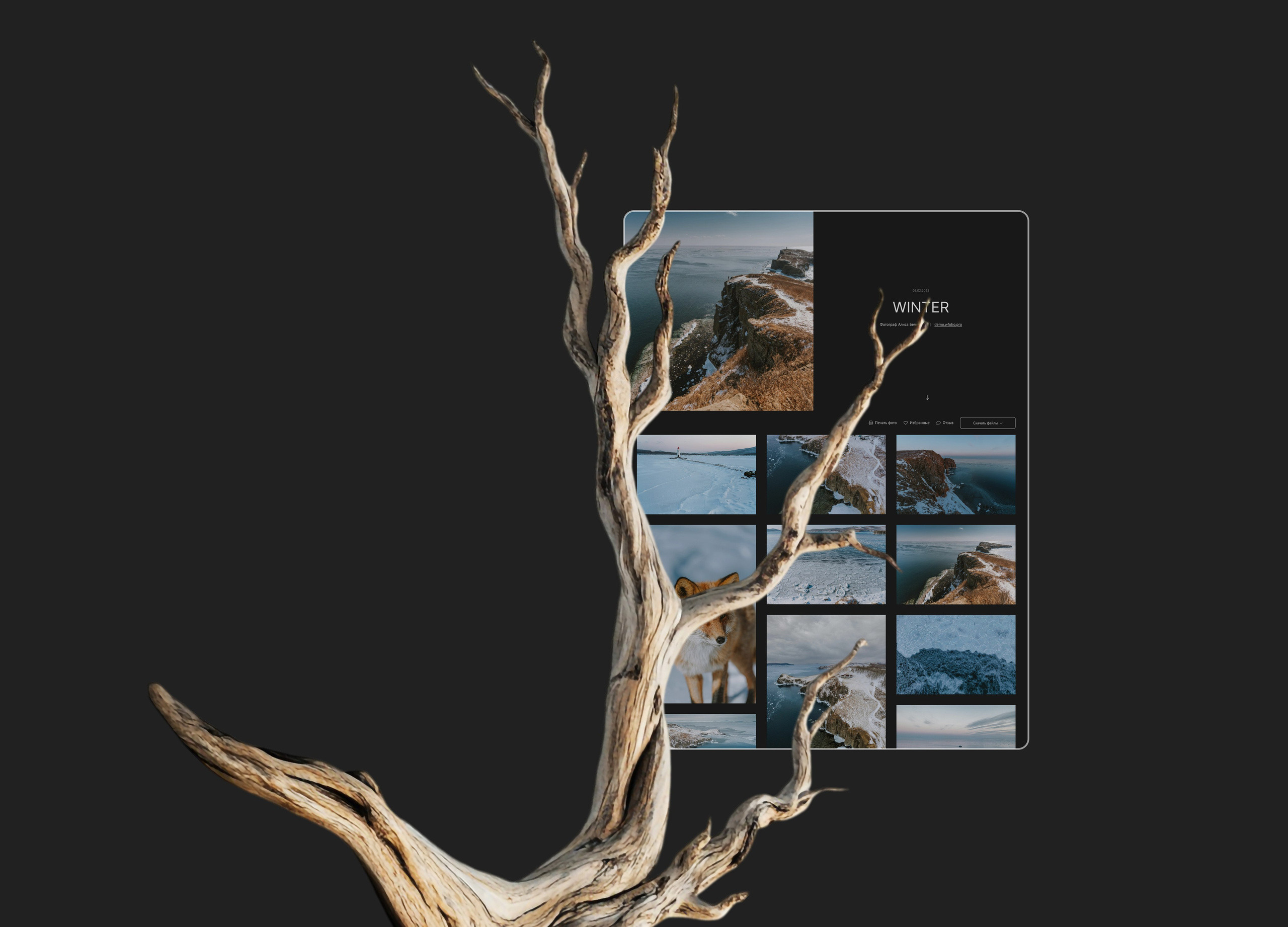 Примеры проектов для фотографов на диске Wfolio