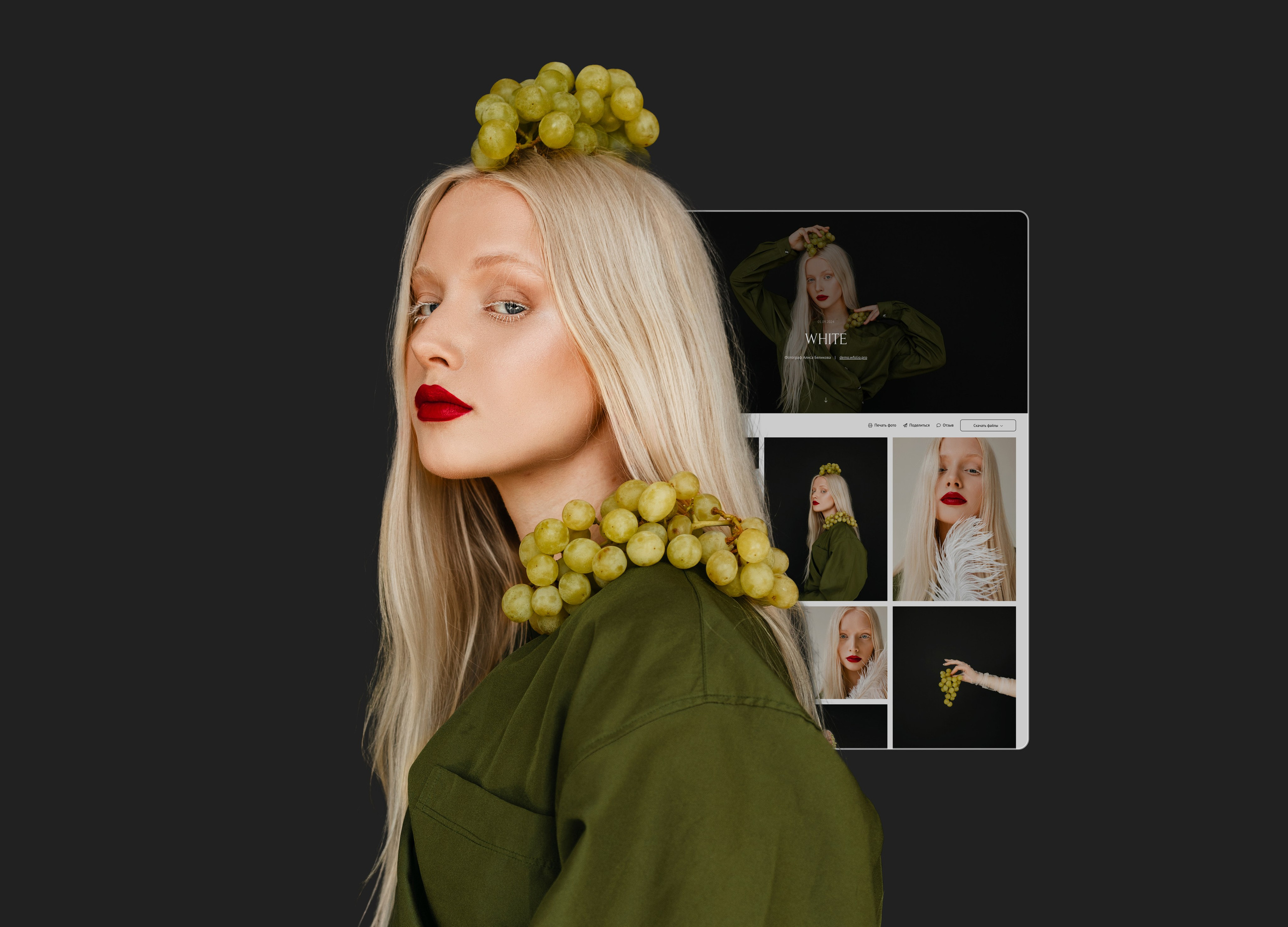 Примеры проектов для фотографов на диске Wfolio