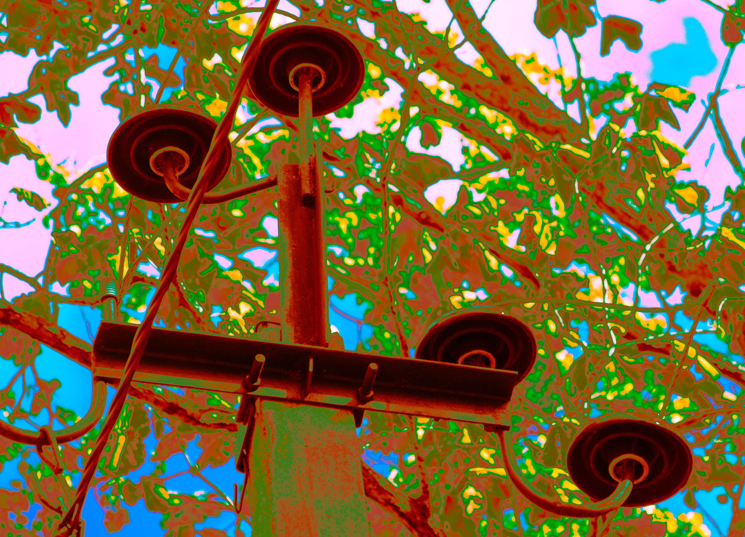 фото проект, фотограф, фотография, обложка для книги, обложка, цвет, цветная фотография, исследование цвета, современное искусство, искусство фотографии, художественная фотография, сюрреализм, art, artist, photo, photographer, photo project, art photography, cover, visual art, picture, color, surrealism