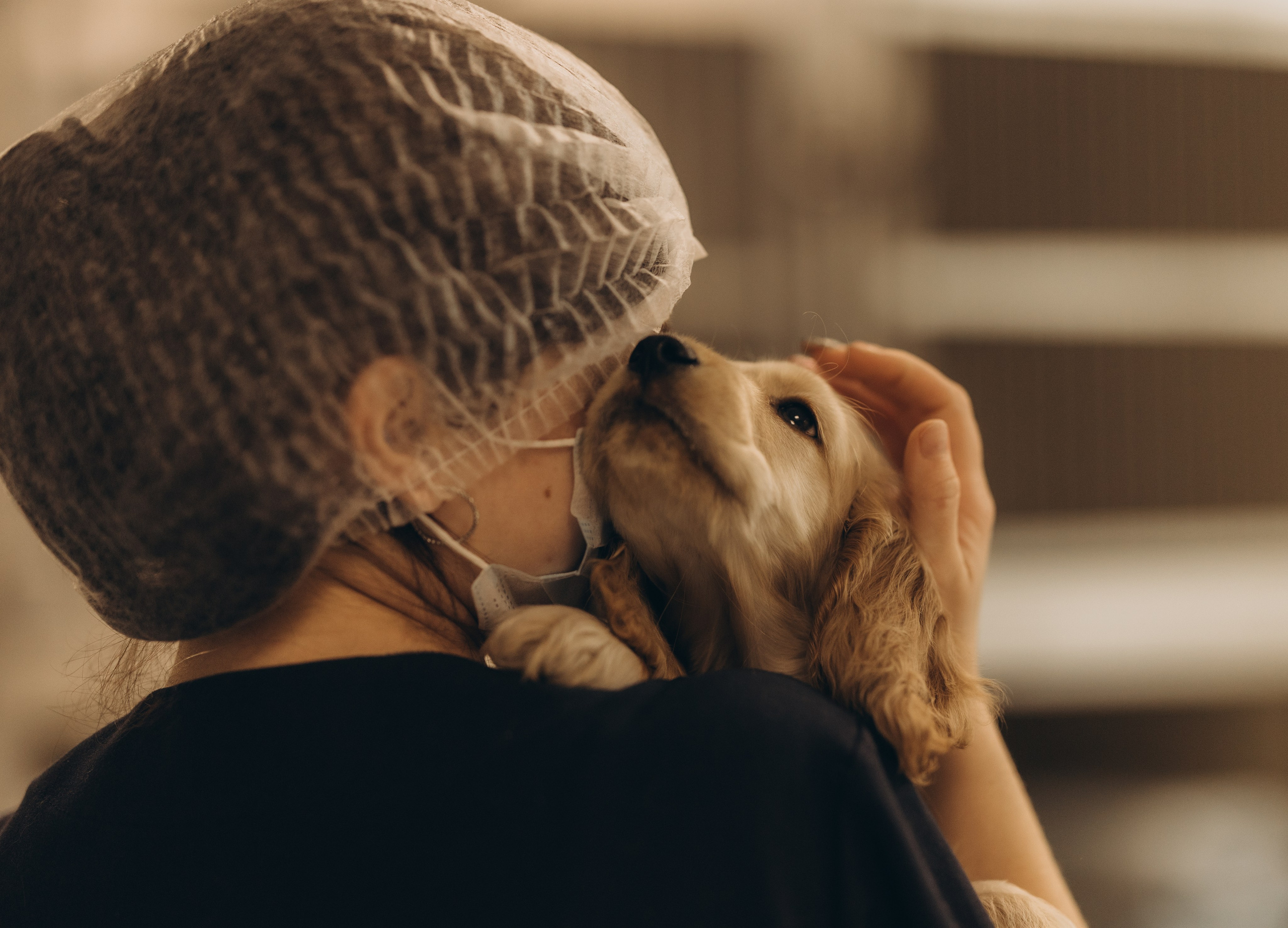 VetLife. Татьяна Афонина | Фотограф