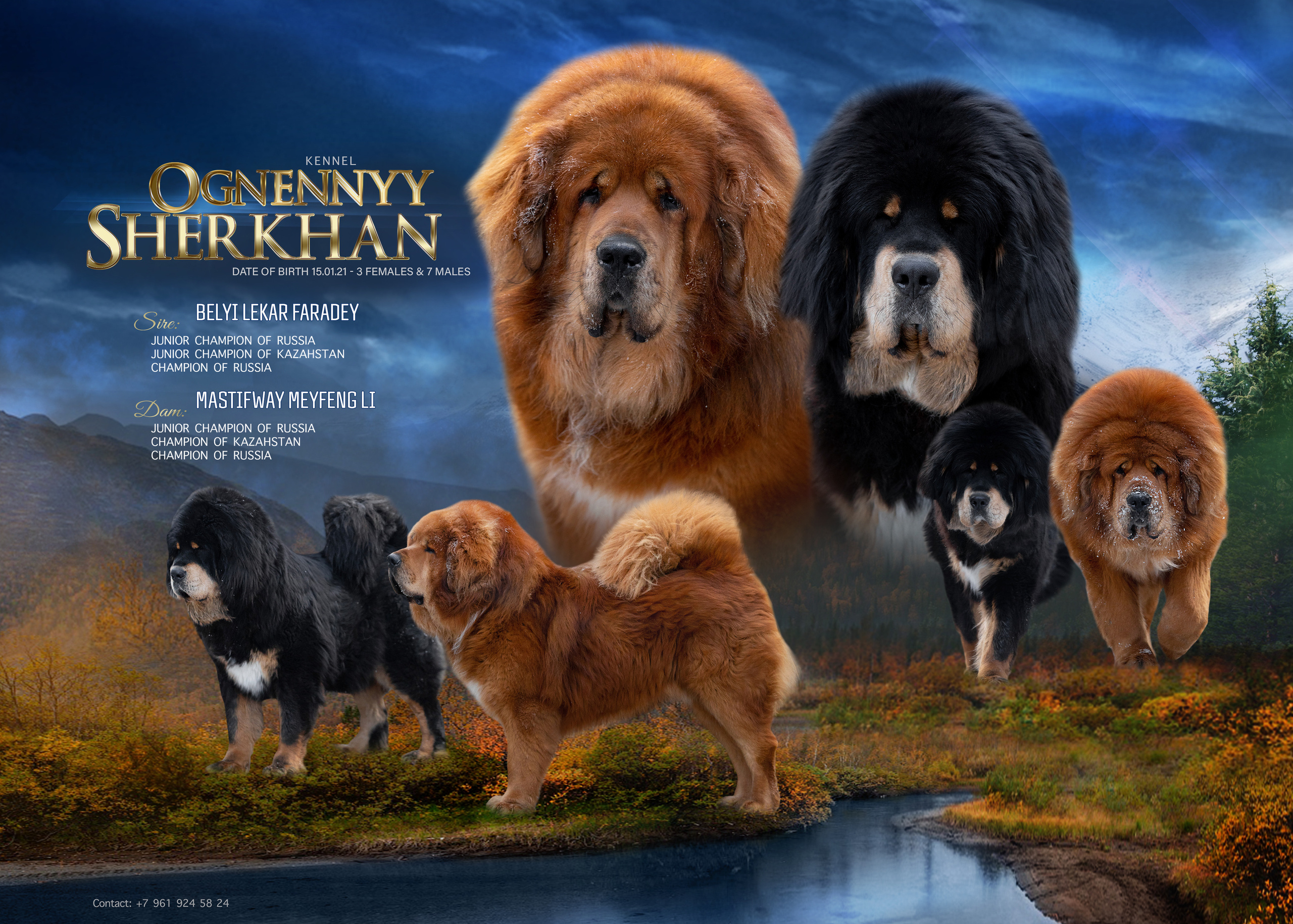 ДИЗАЙН. Фотограф-анималист Саша Вязьмина