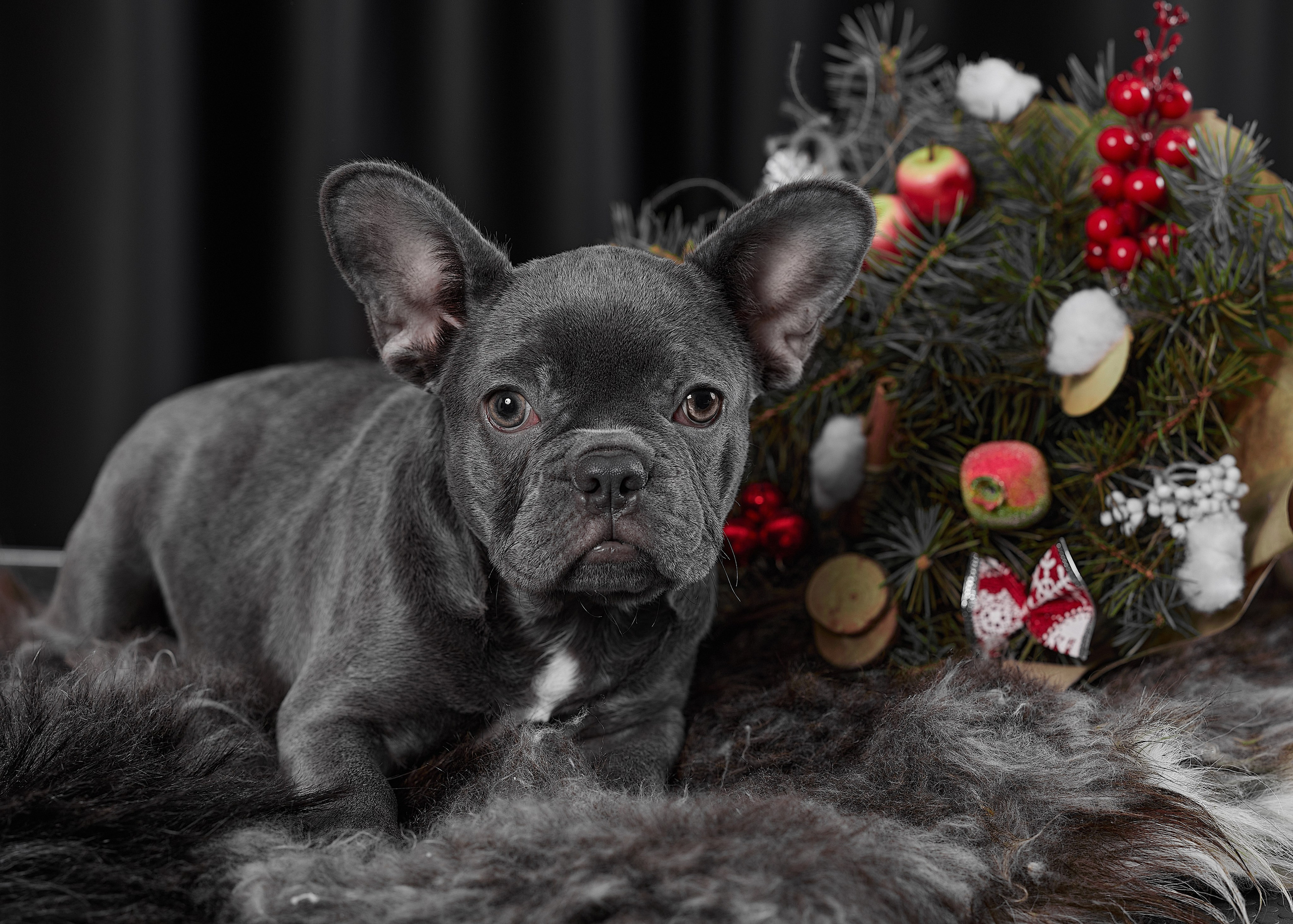 Рекомендации. Фотограф