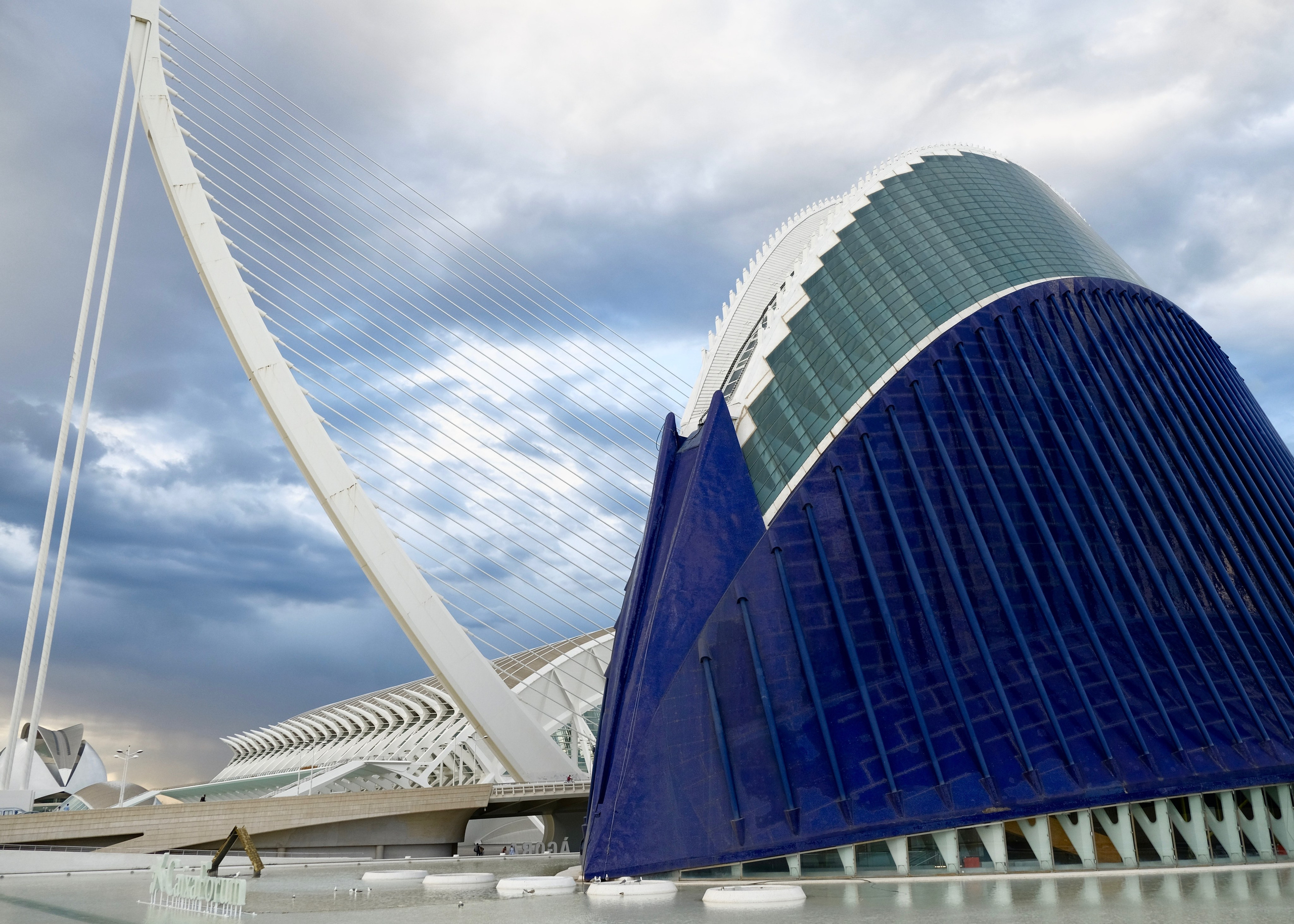 Город искусств и наук творения архитектора Сантьяго Калатравы в Валенсии (Испания)