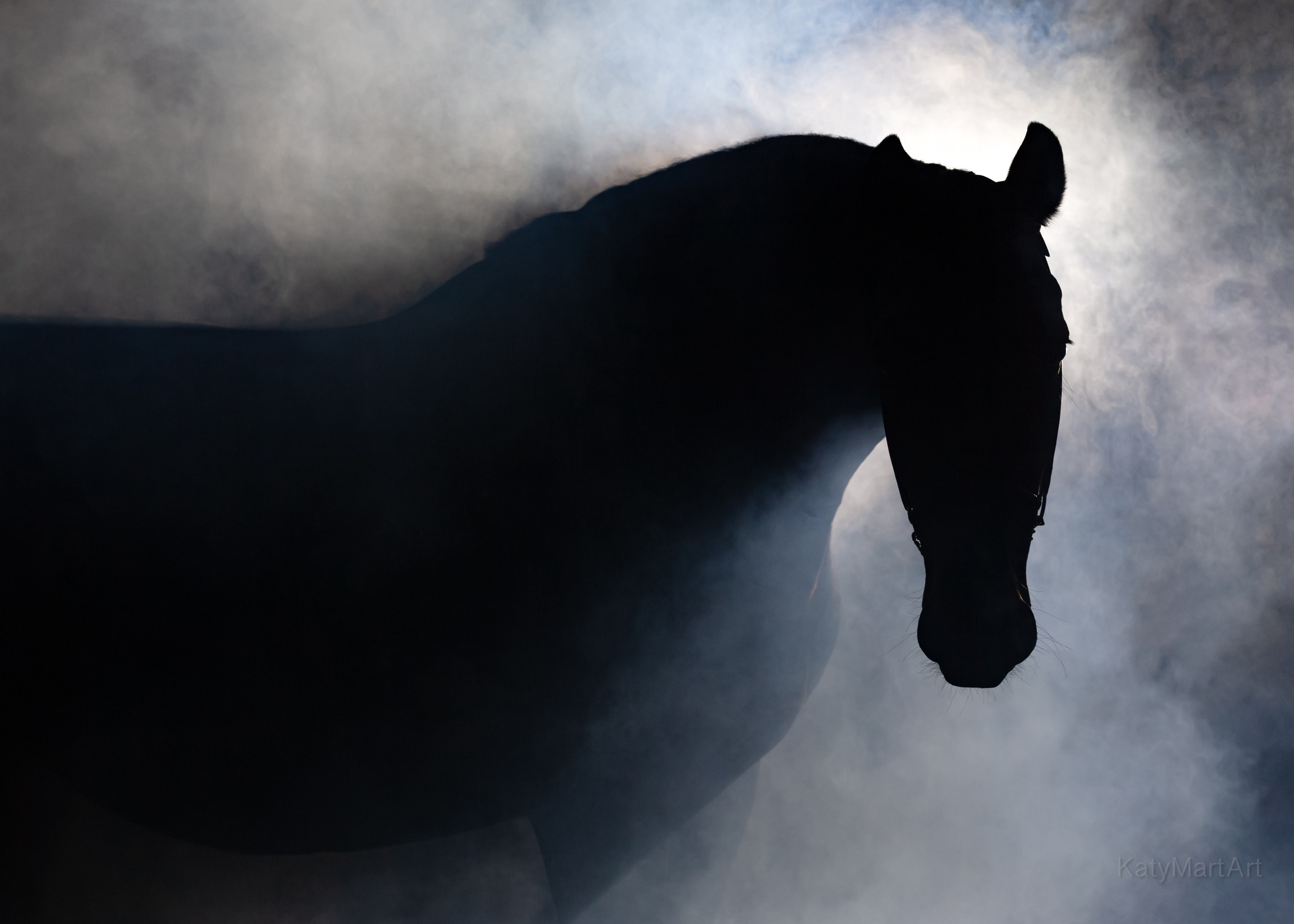 Между нами лошади