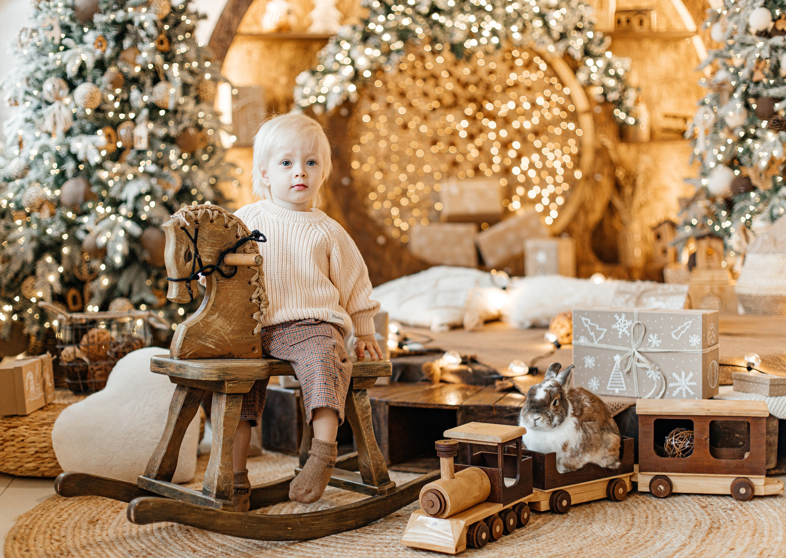 Новогодняя фотосесия Москва