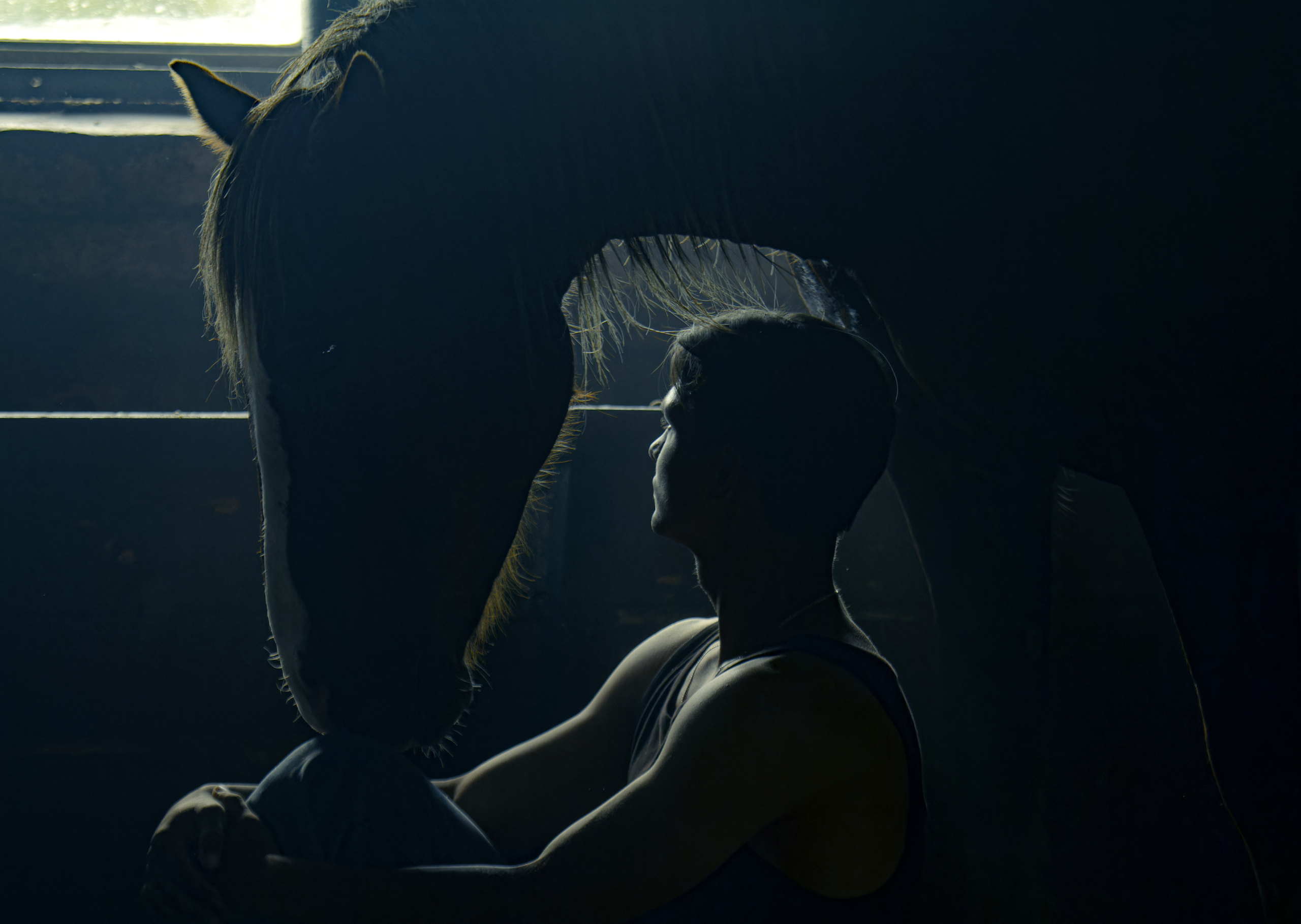 Мои достижения. Фотограф-анималист Юлия Зубкова