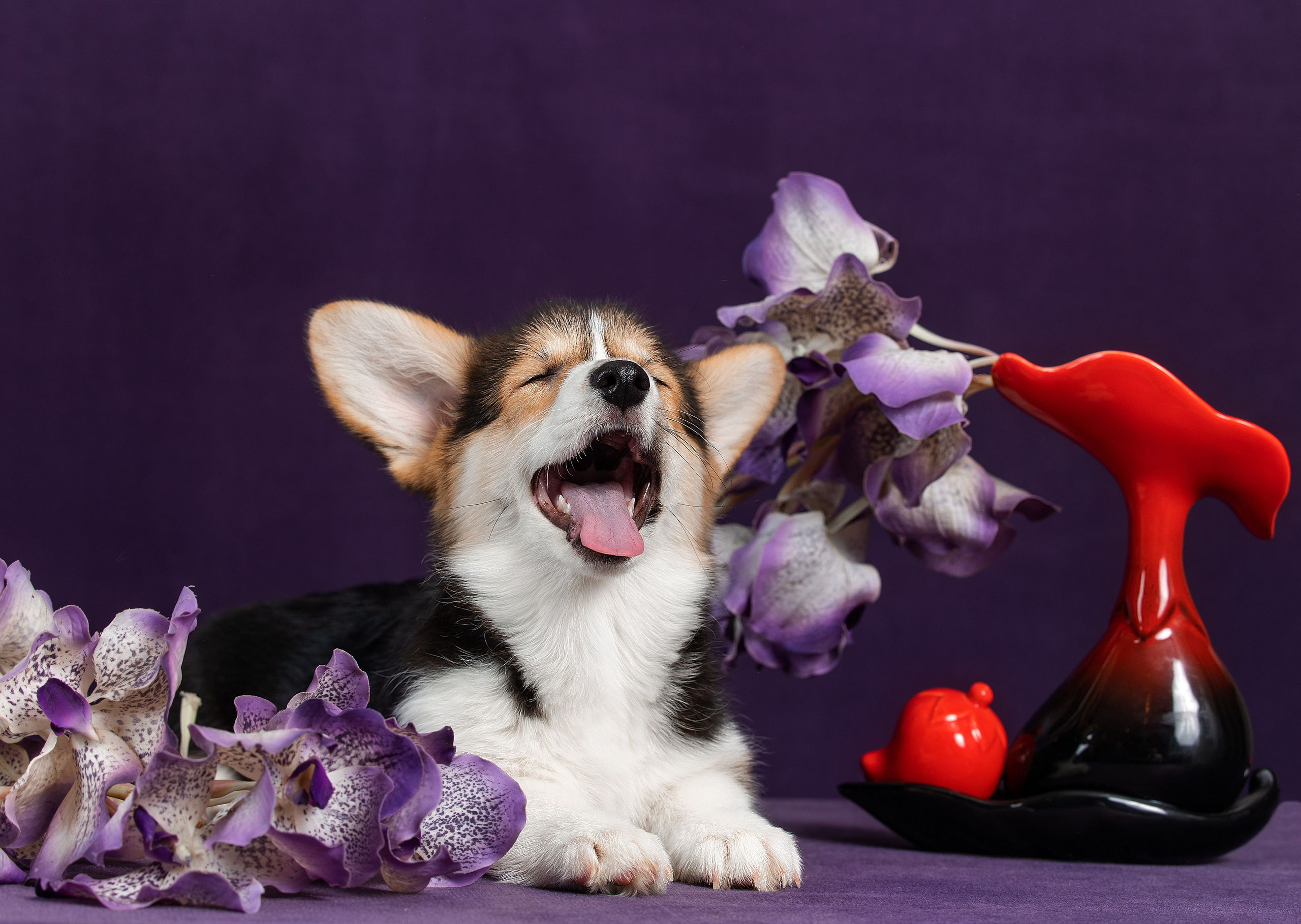 Рекомендации. Фотограф