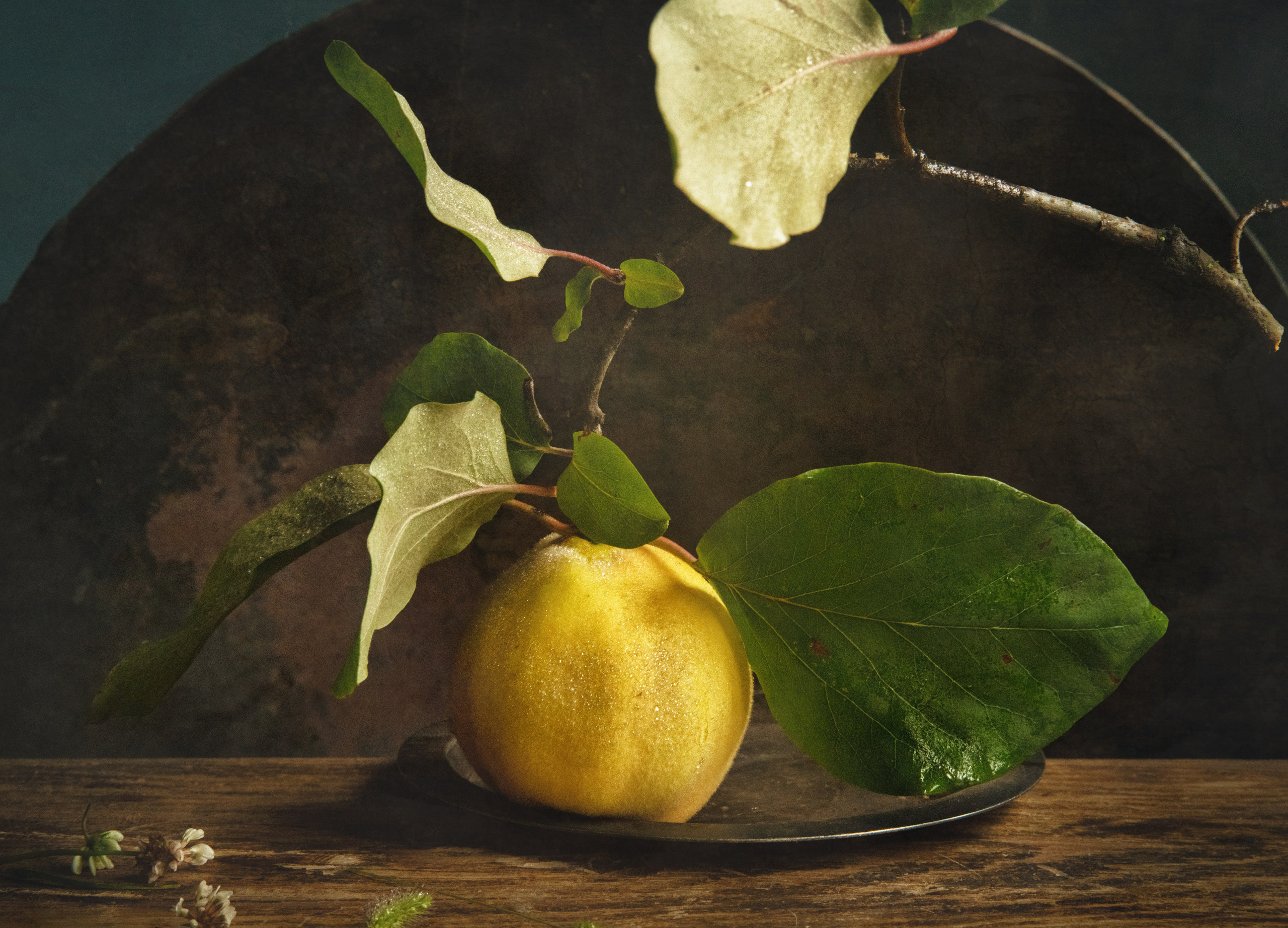 ФОТОЖИВОПИСЬ. Фотохудожник Нина Жихарева